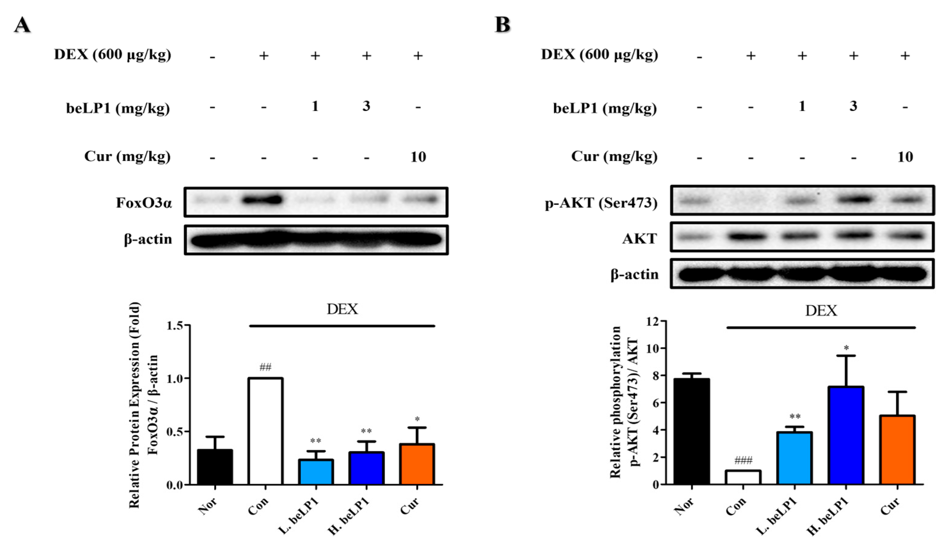 Biomedicines 13 01668 g008