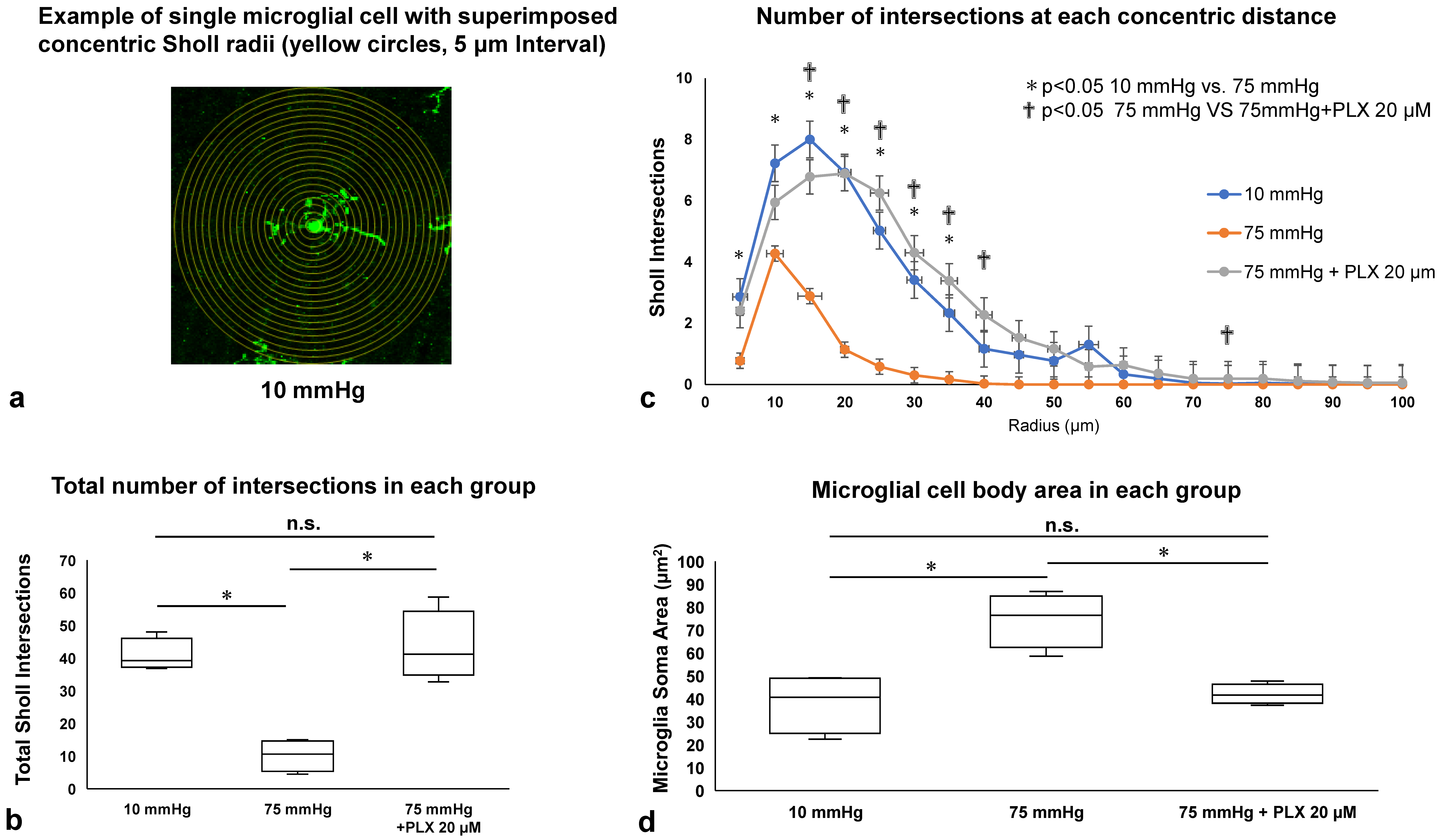 Biomedicines 13 01670 g004