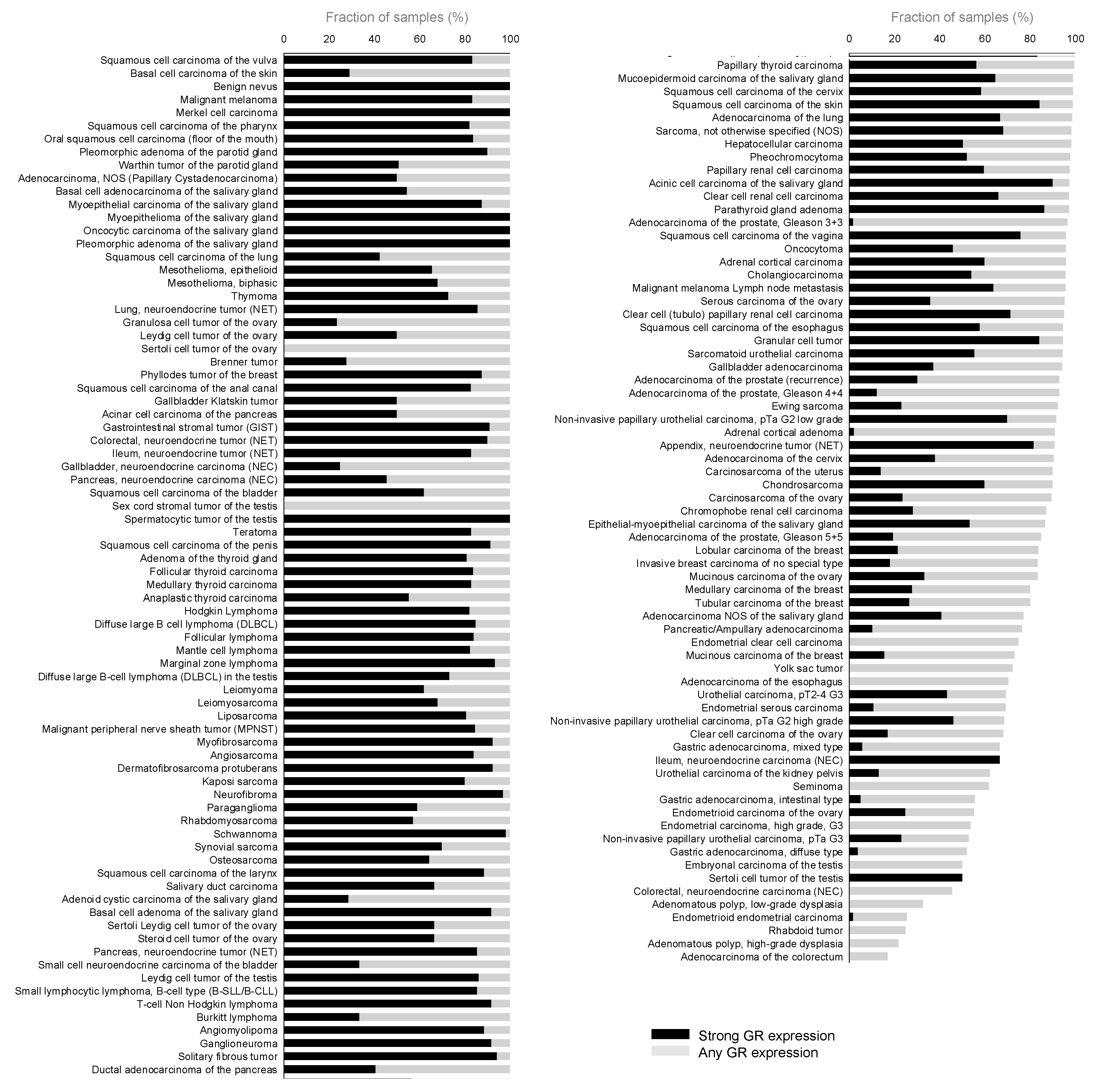 Biomedicines 13 01683 g003