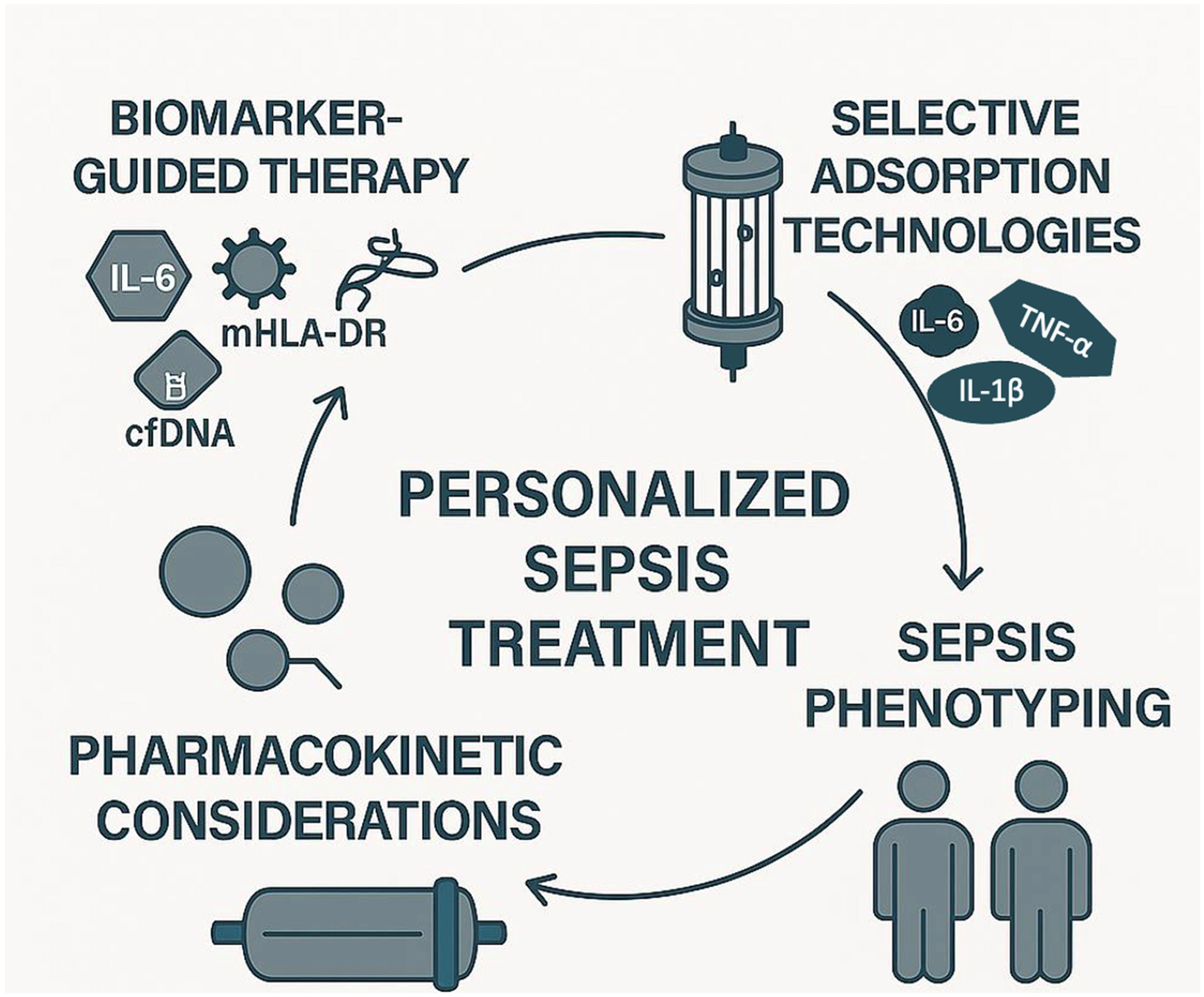 Biomedicines 13 01684 g002