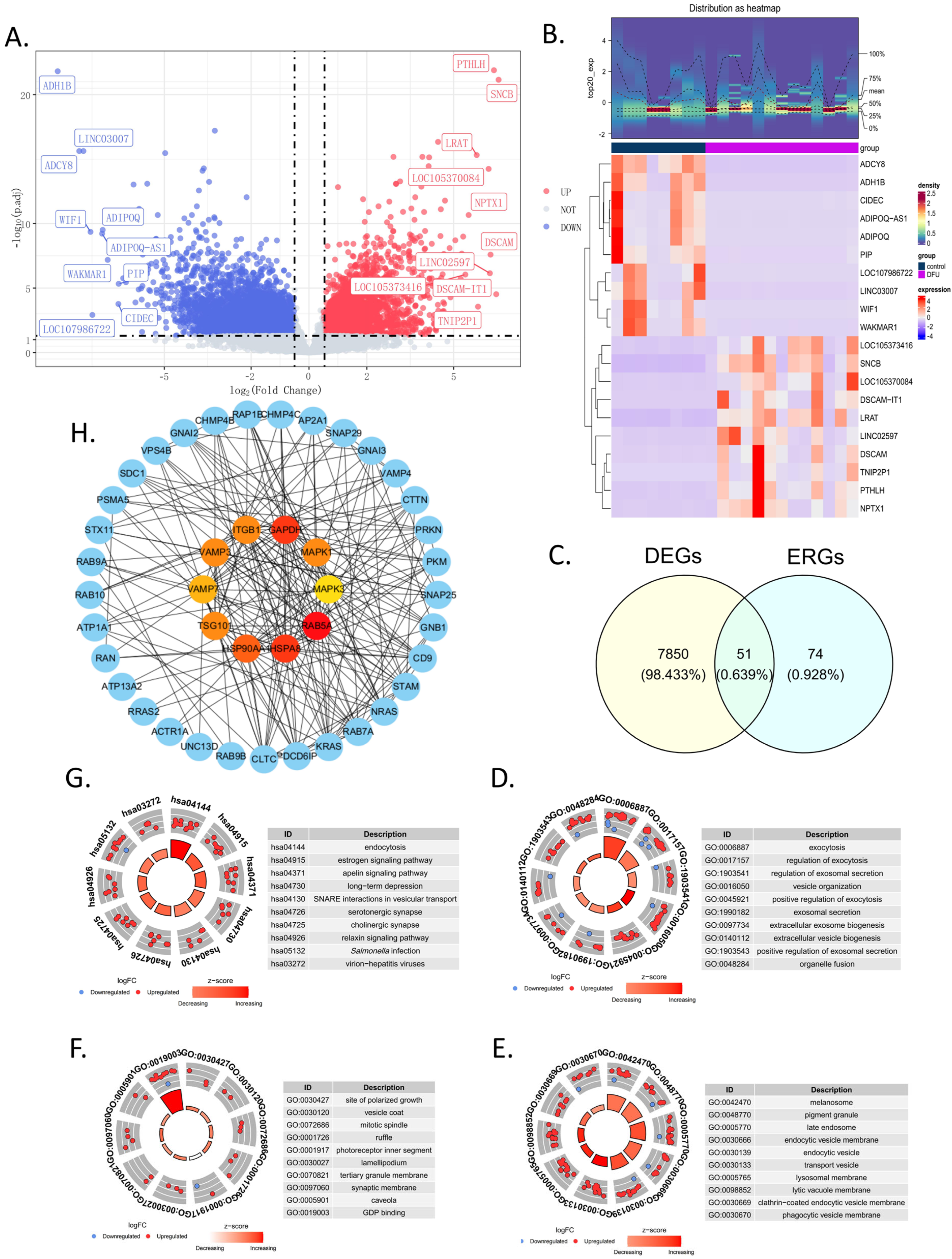 Biomedicines 13 01687 g001
