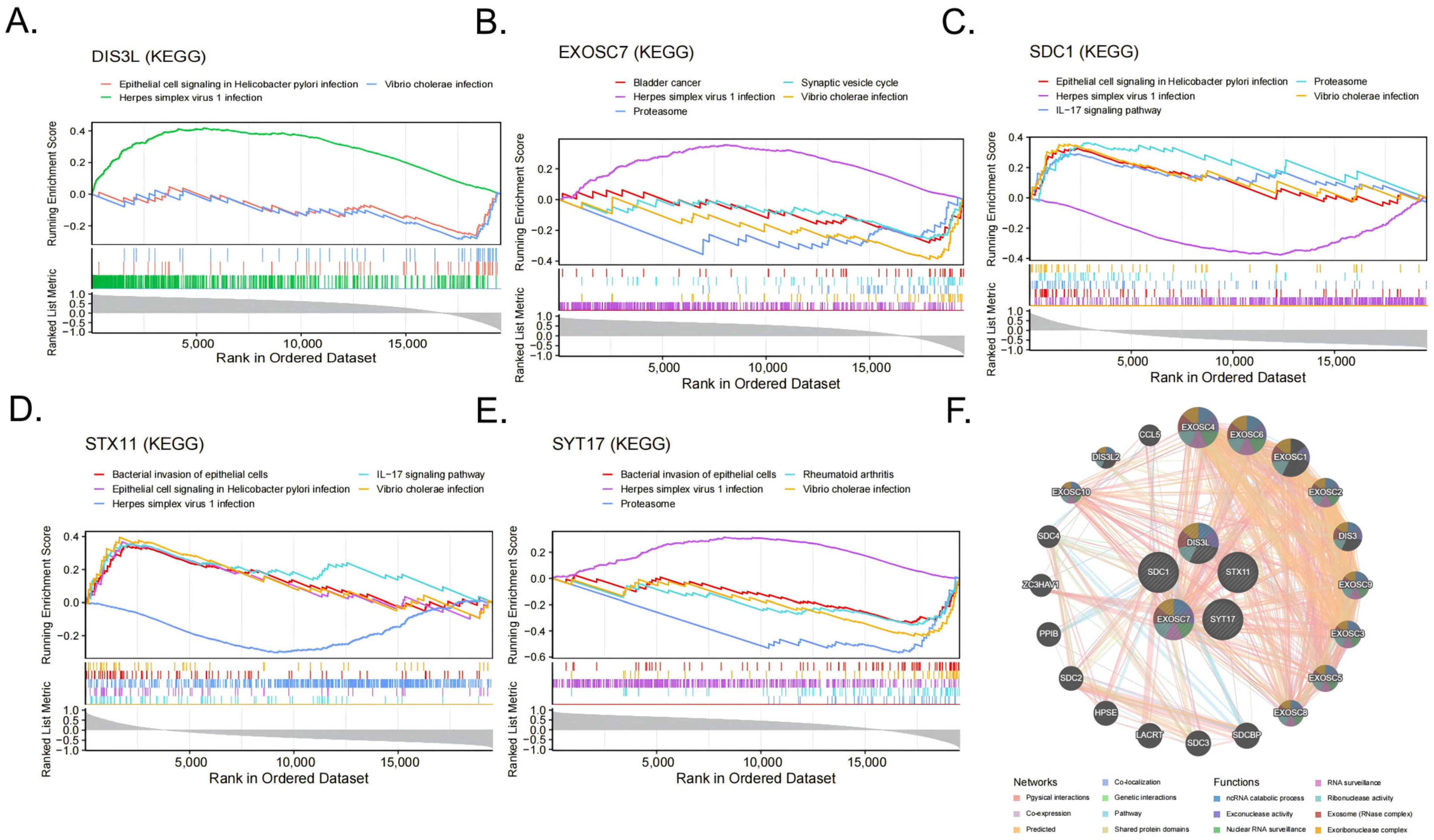 Biomedicines 13 01687 g006