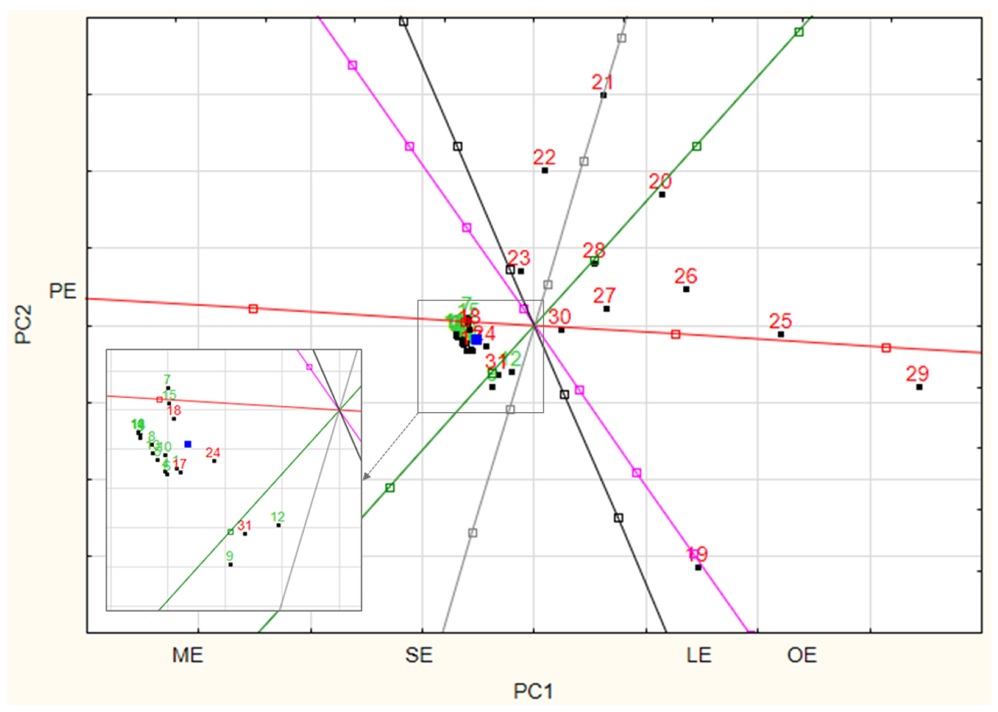 Biomedicines 13 01688 g005
