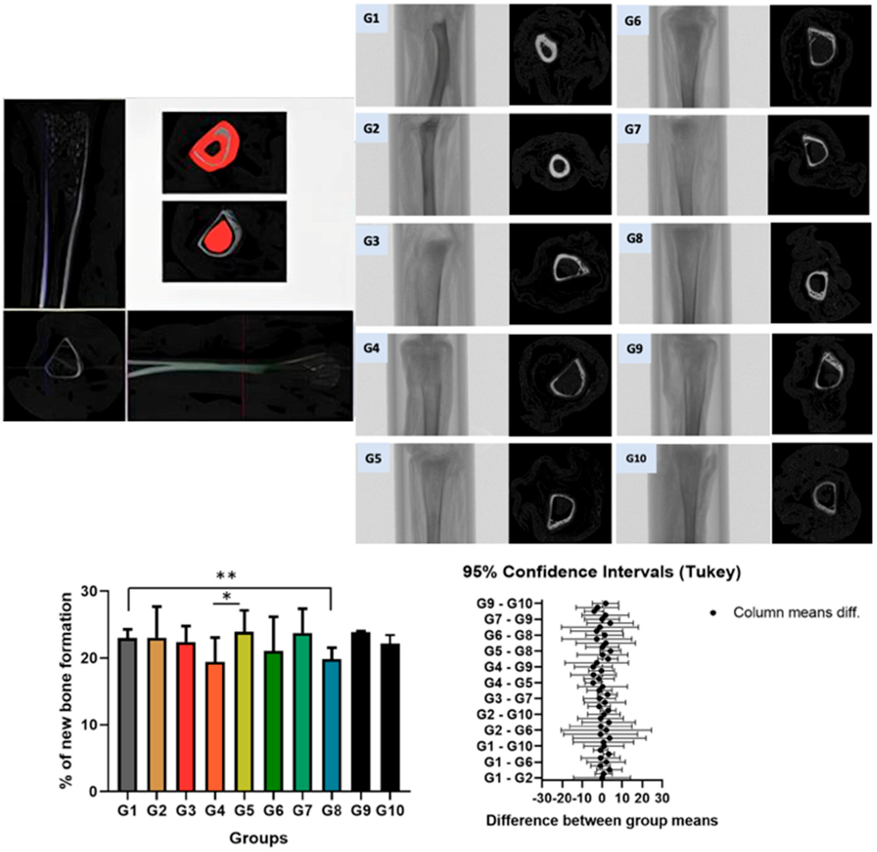 Biomedicines 13 01689 g002