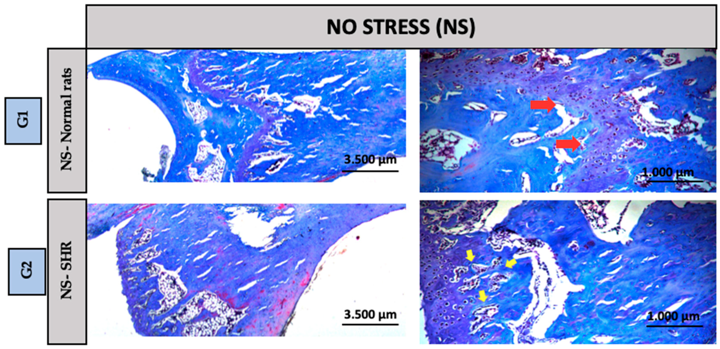 Biomedicines 13 01689 g003
