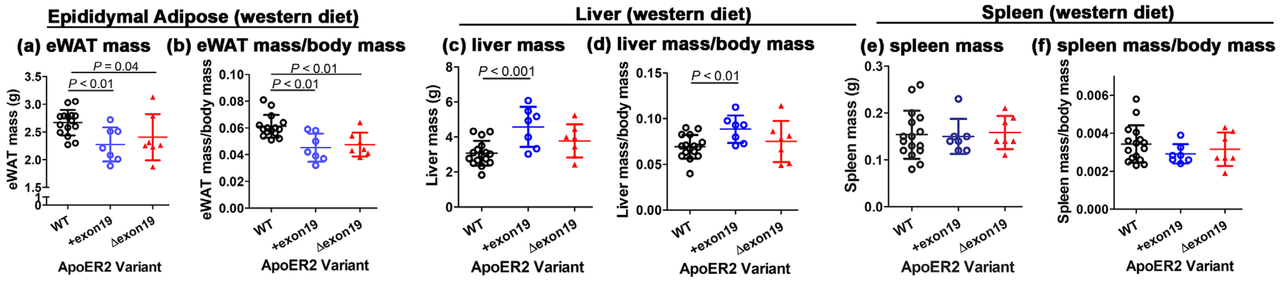 Biomedicines 13 01692 g004