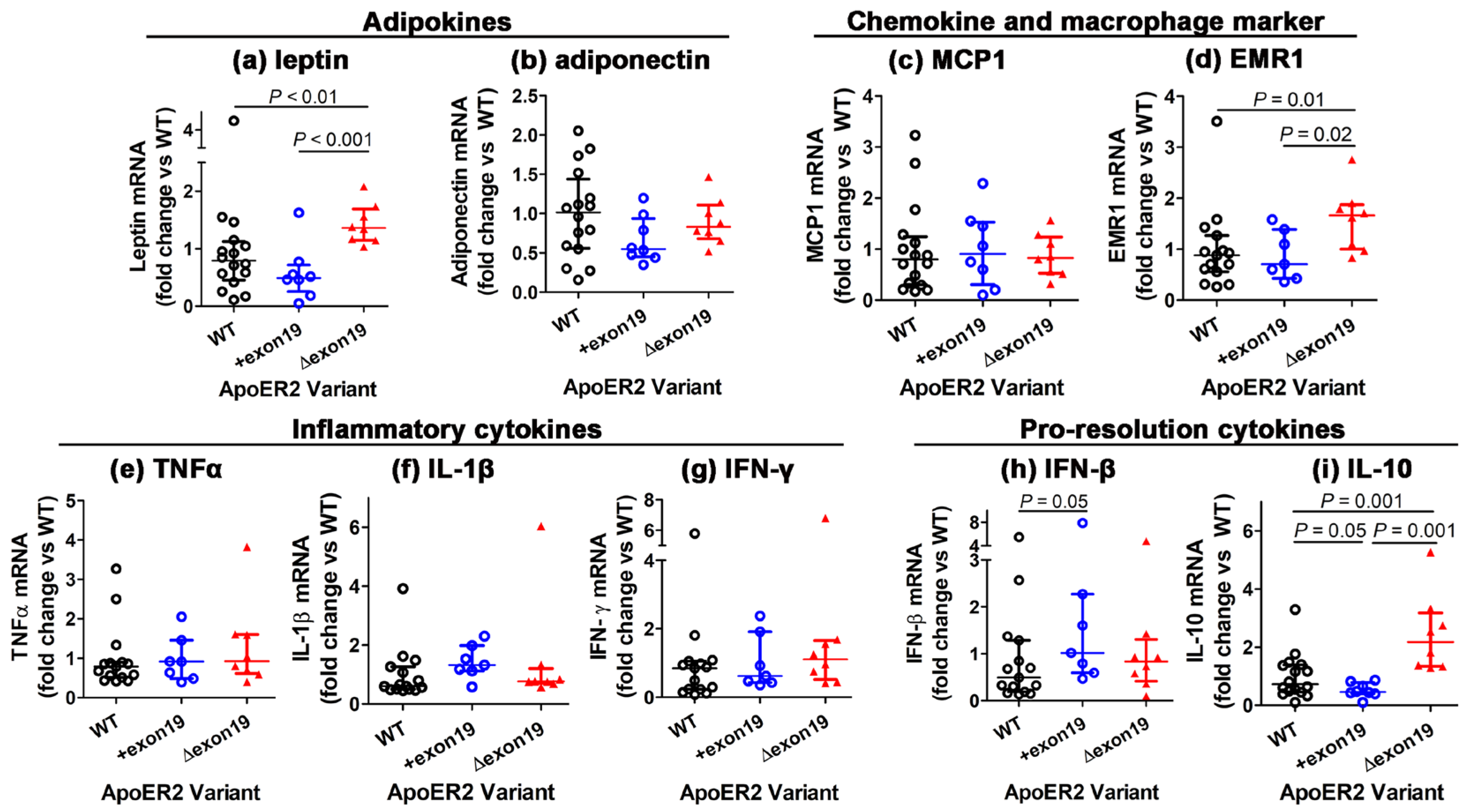 Biomedicines 13 01692 g005
