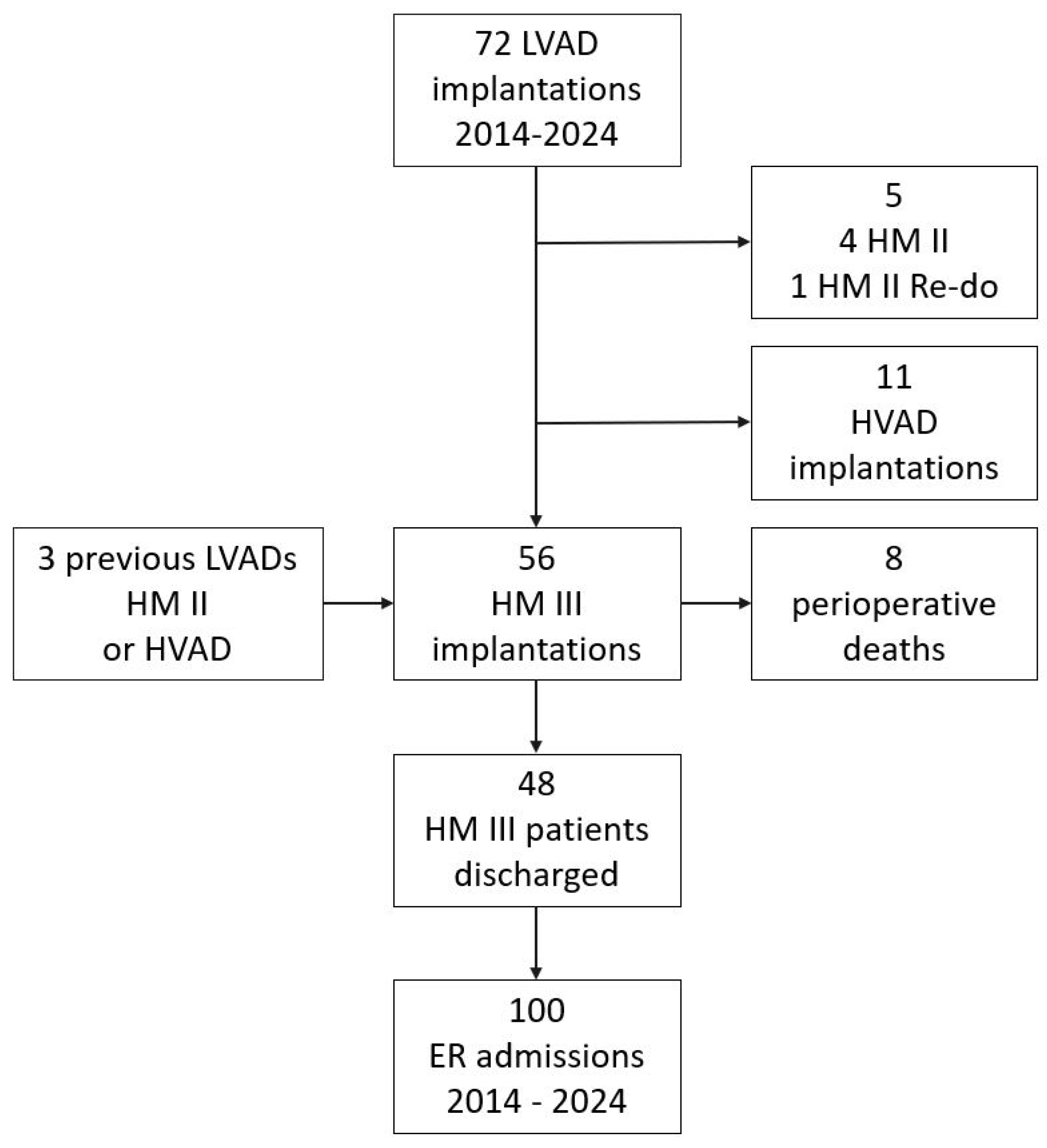 Biomedicines 13 01702 g001