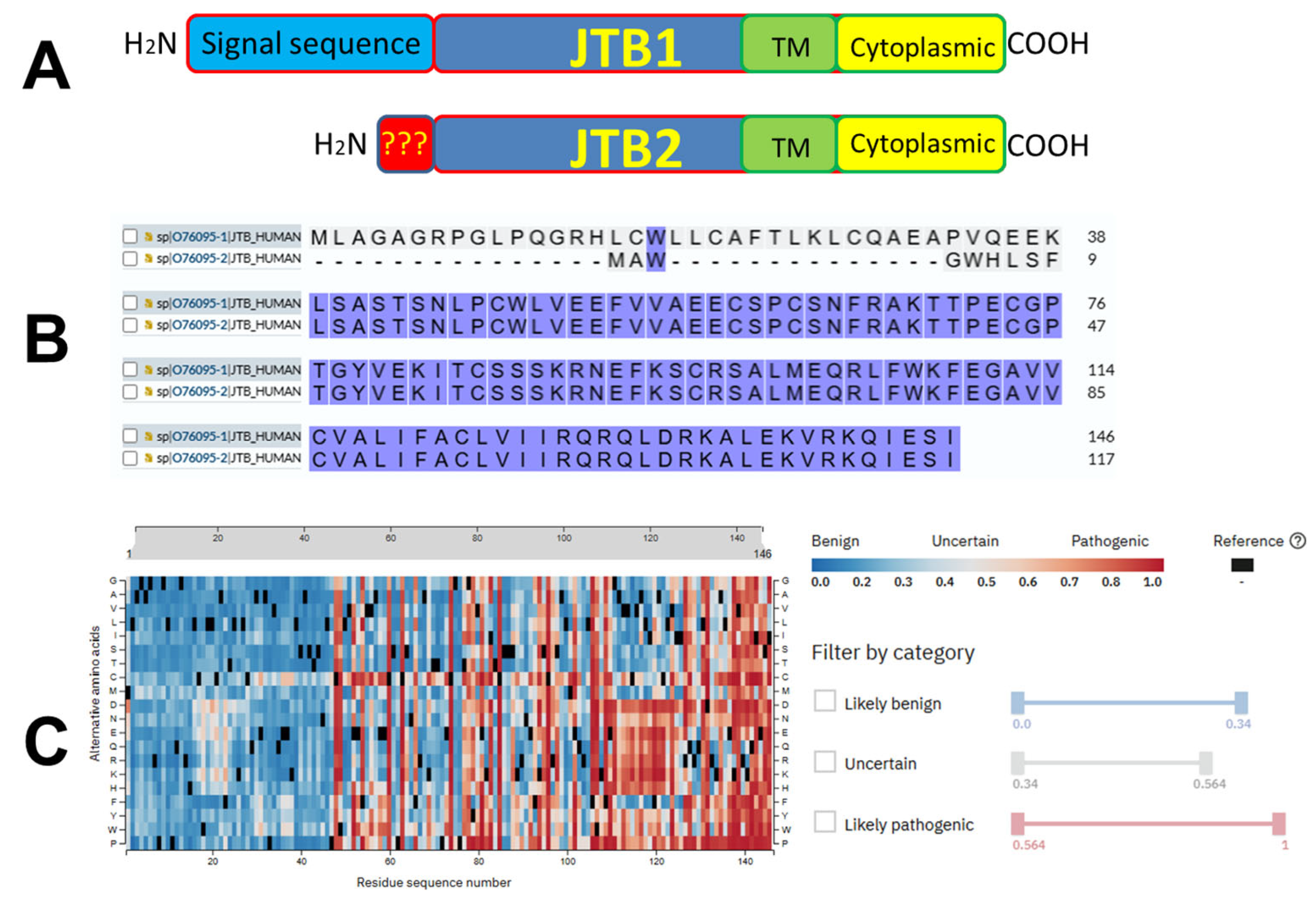 Biomedicines 13 01705 g001