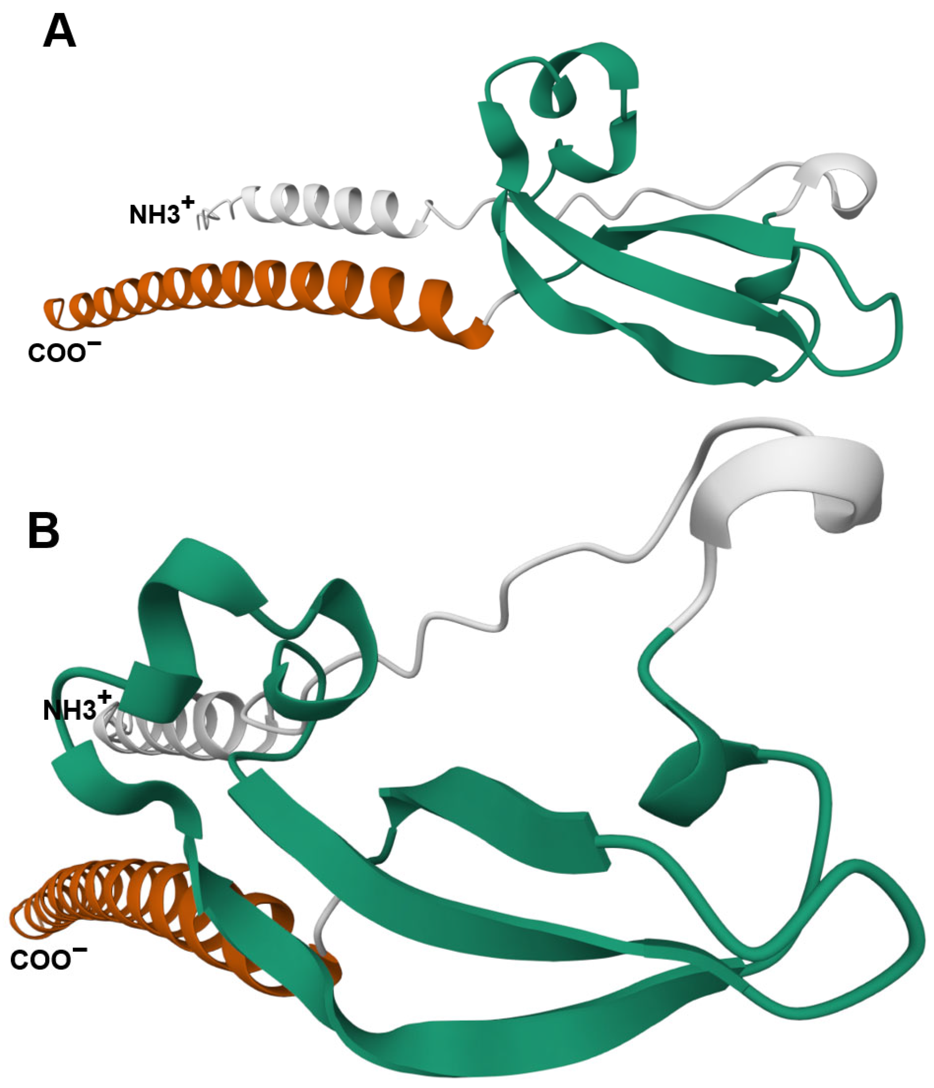 Biomedicines 13 01705 g002a