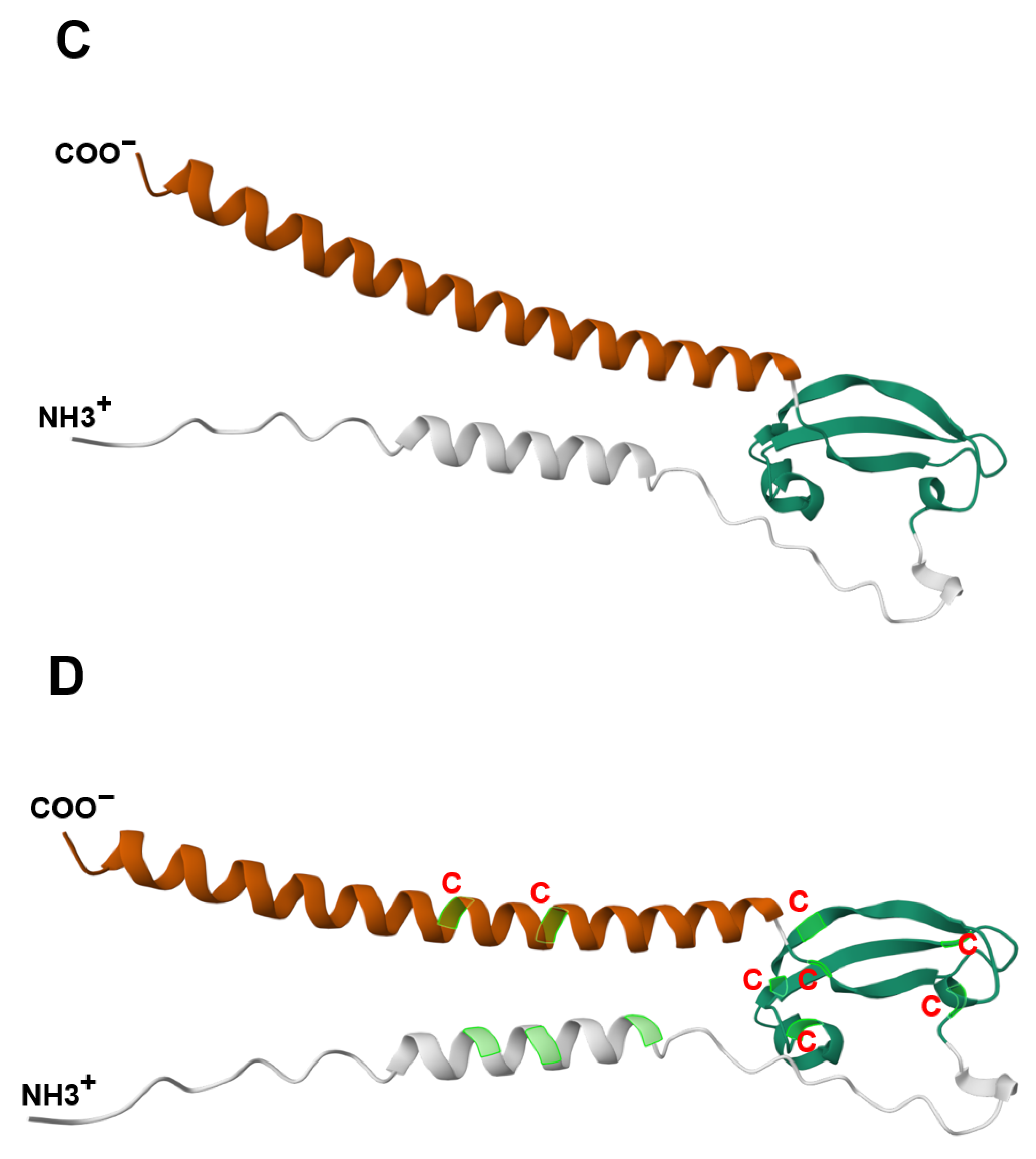 Biomedicines 13 01705 g002b