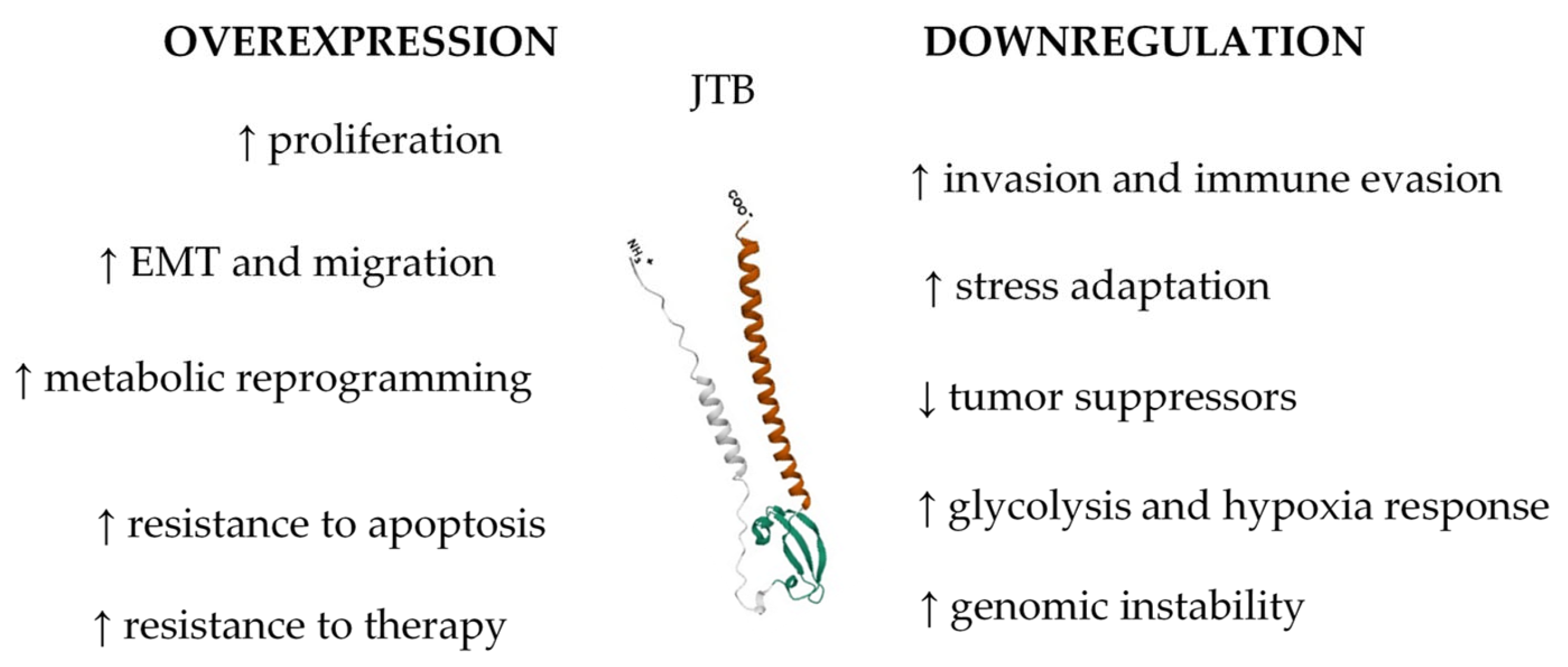 Biomedicines 13 01705 g004