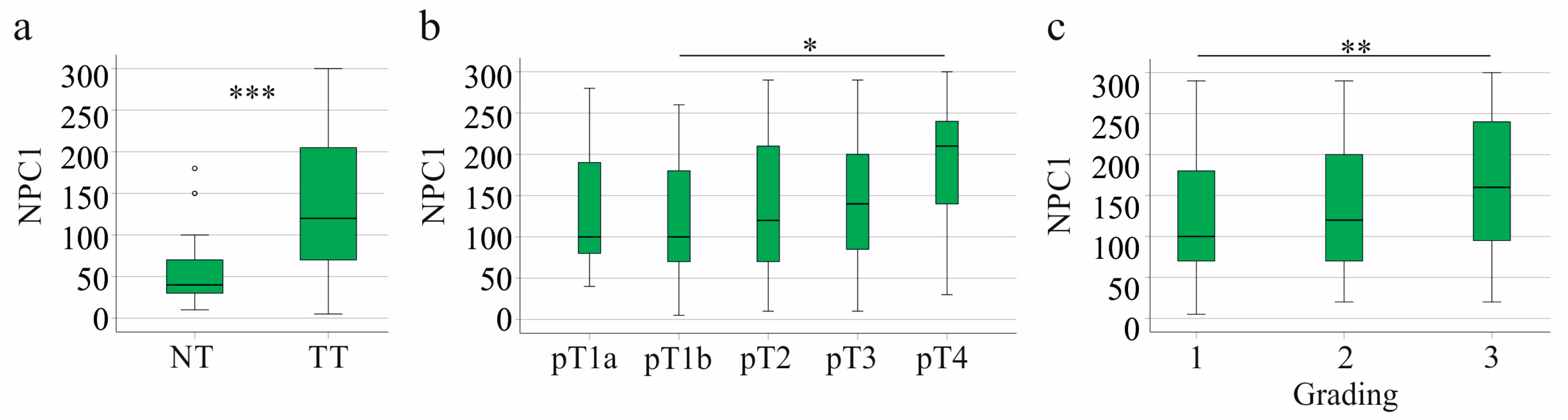 Biomedicines 13 01707 g004
