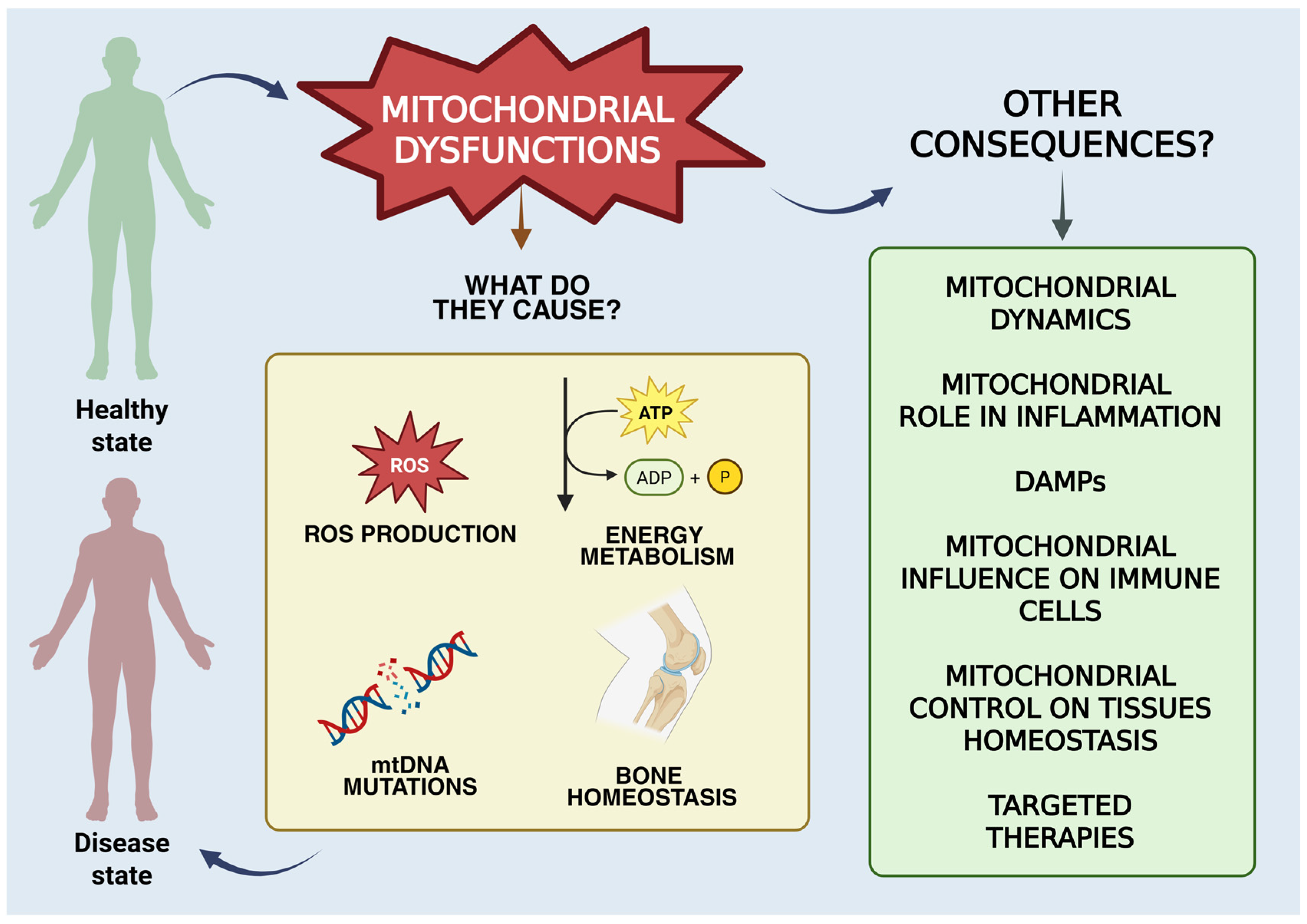 Biomedicines 13 01708 g001