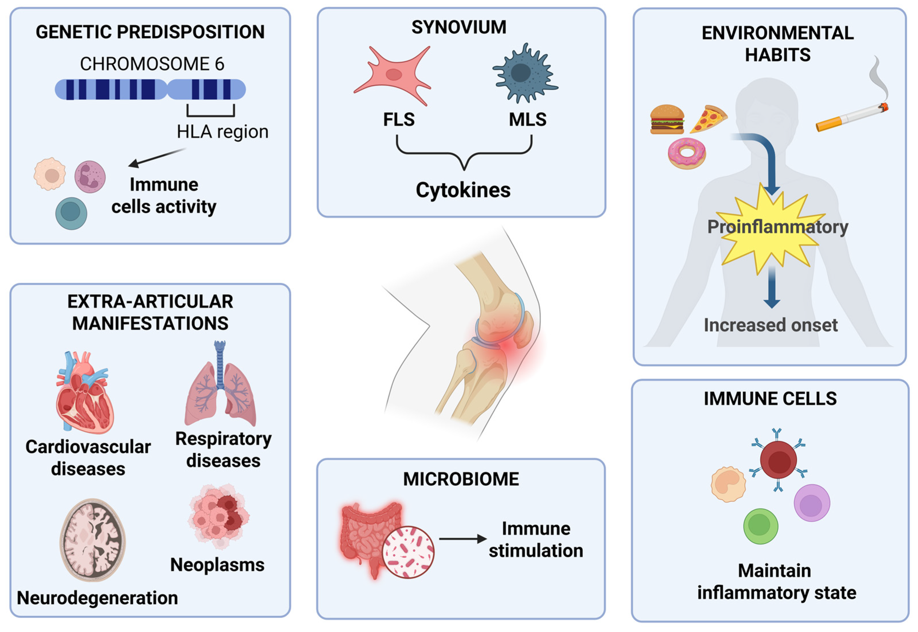 Biomedicines 13 01708 g002
