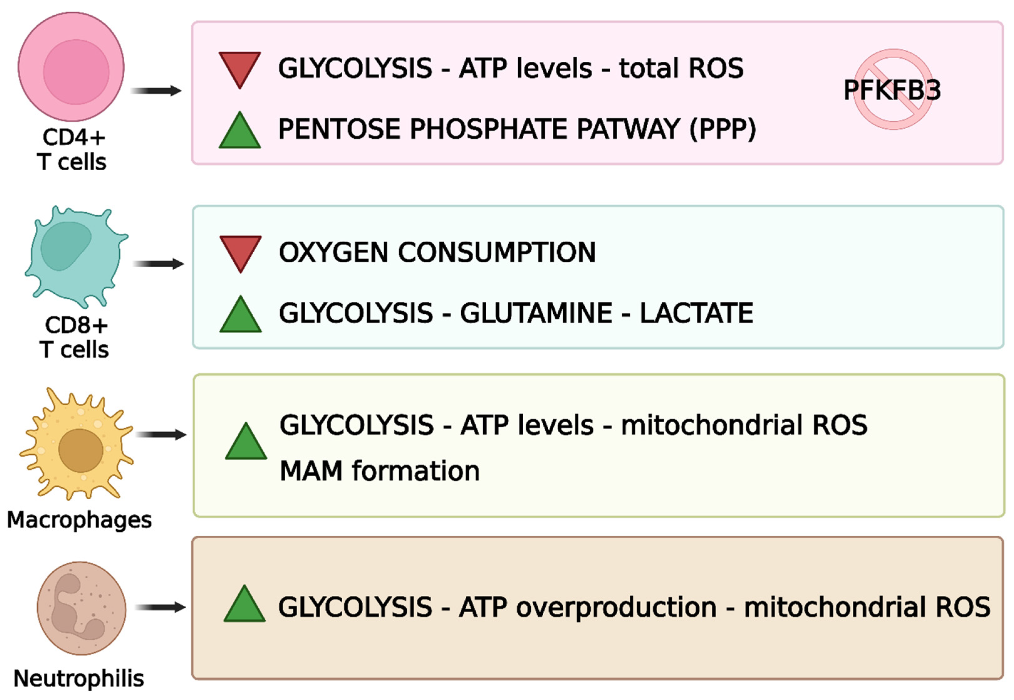 Biomedicines 13 01708 g007