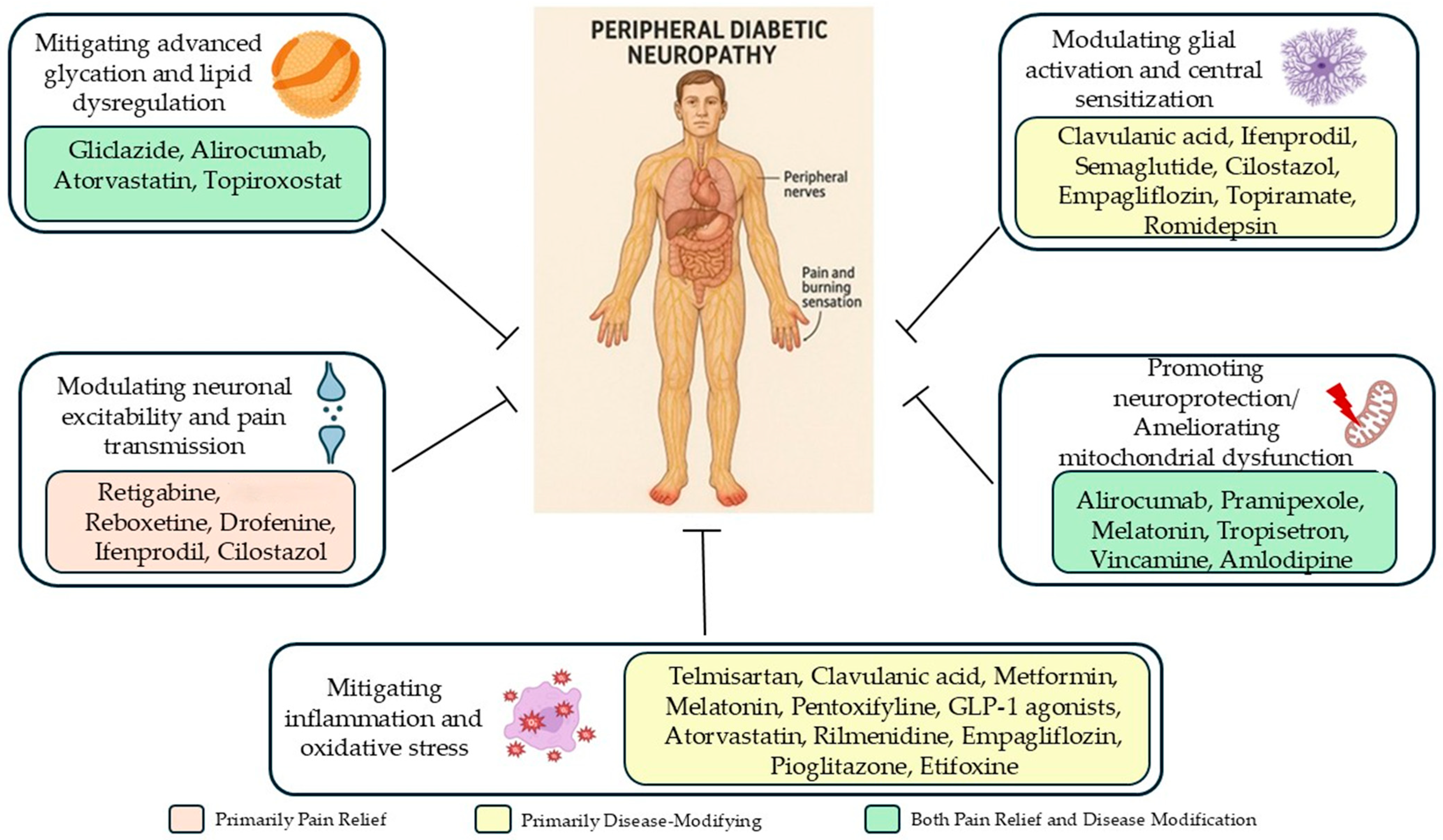 Biomedicines 13 01709 g002