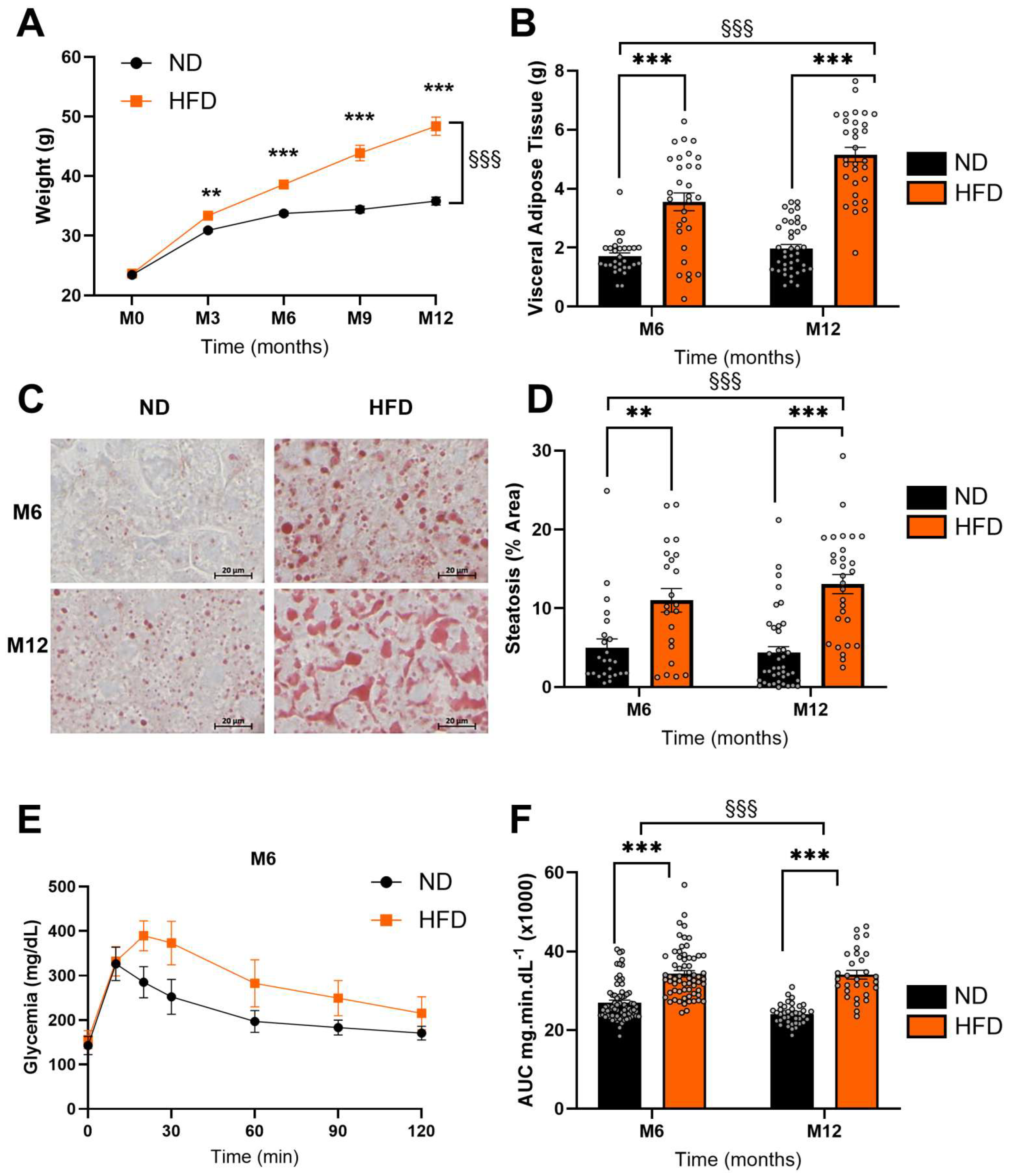 Biomedicines 13 01712 g002