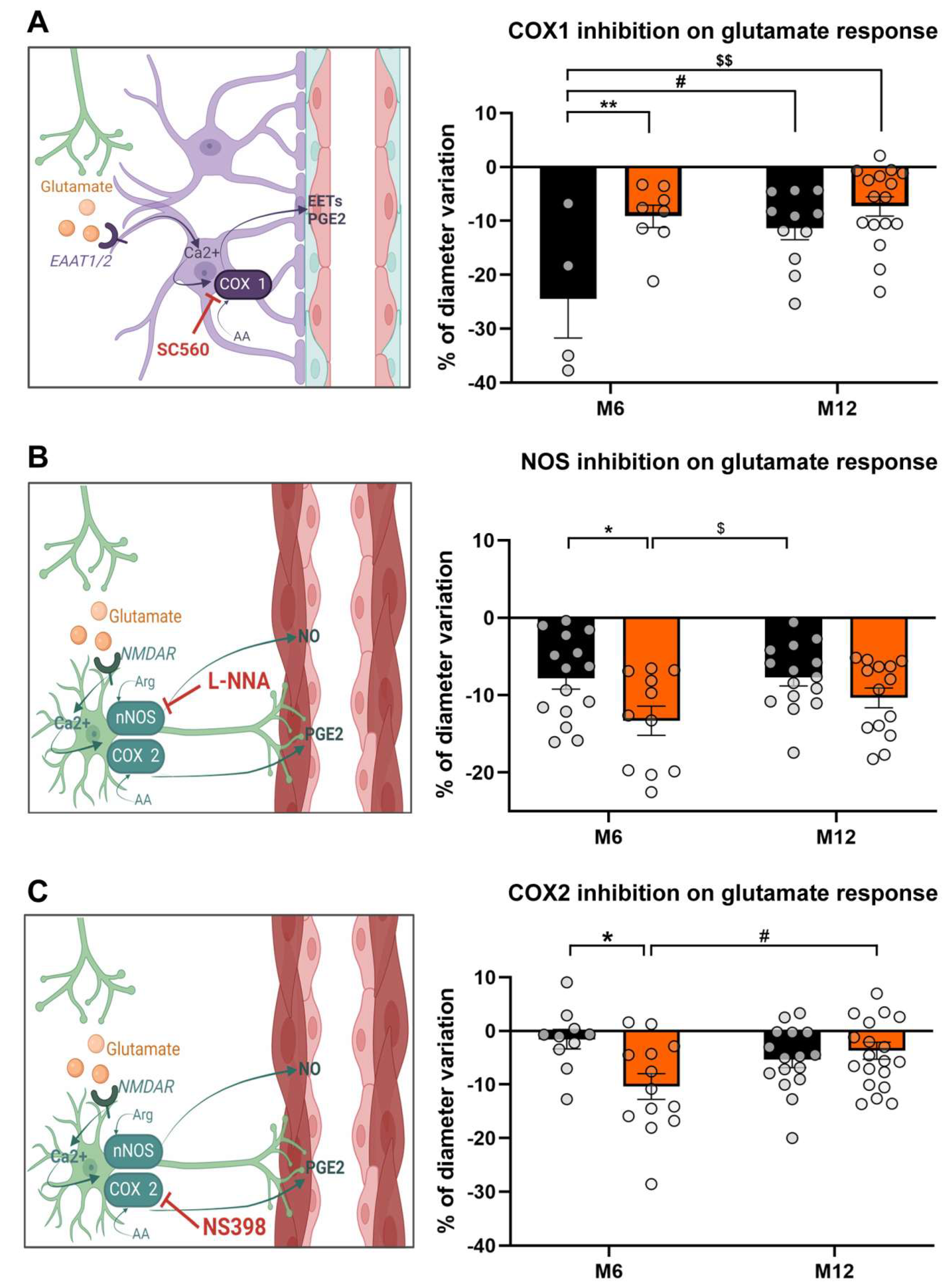 Biomedicines 13 01712 g004