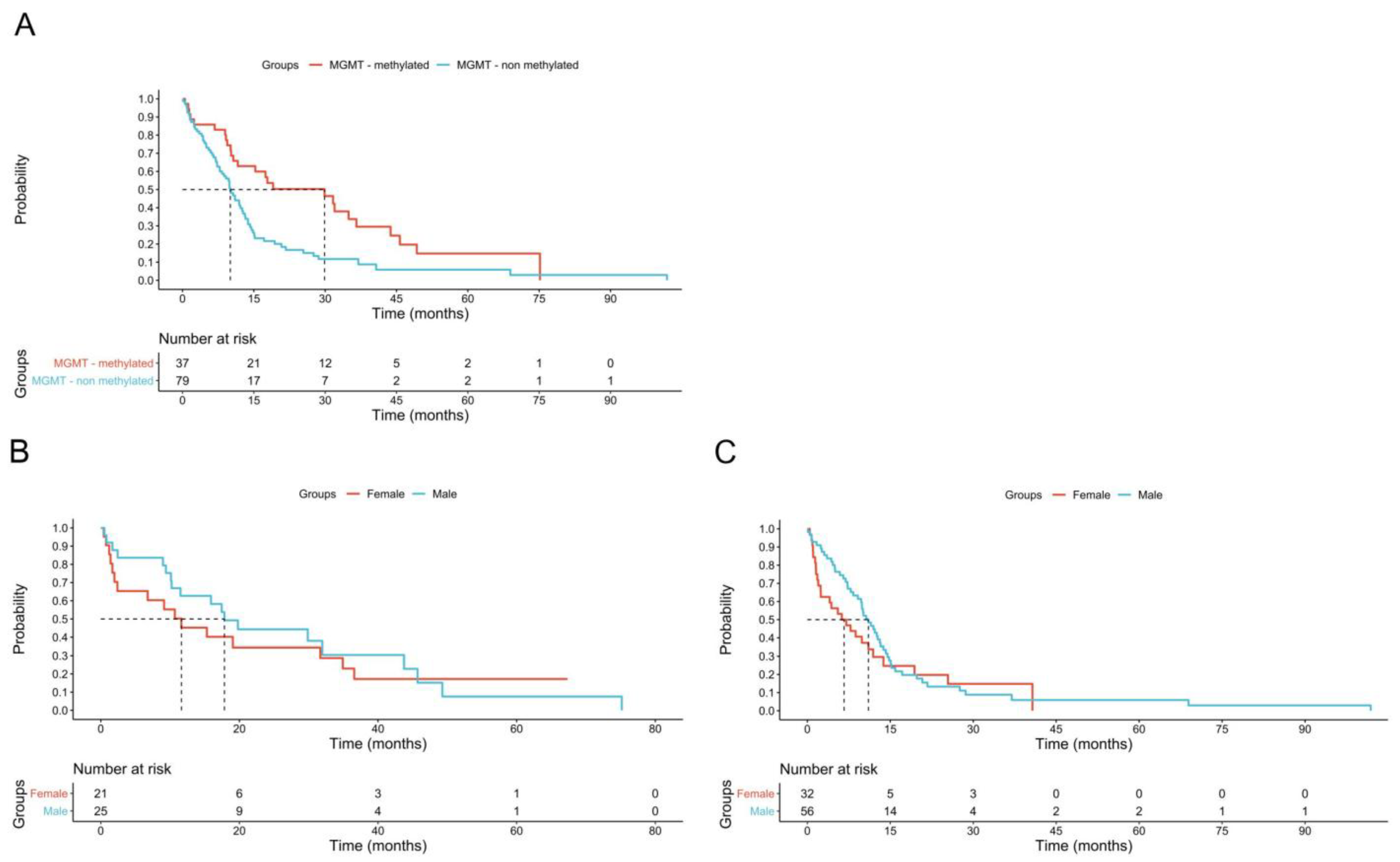 Biomedicines 13 01715 g001