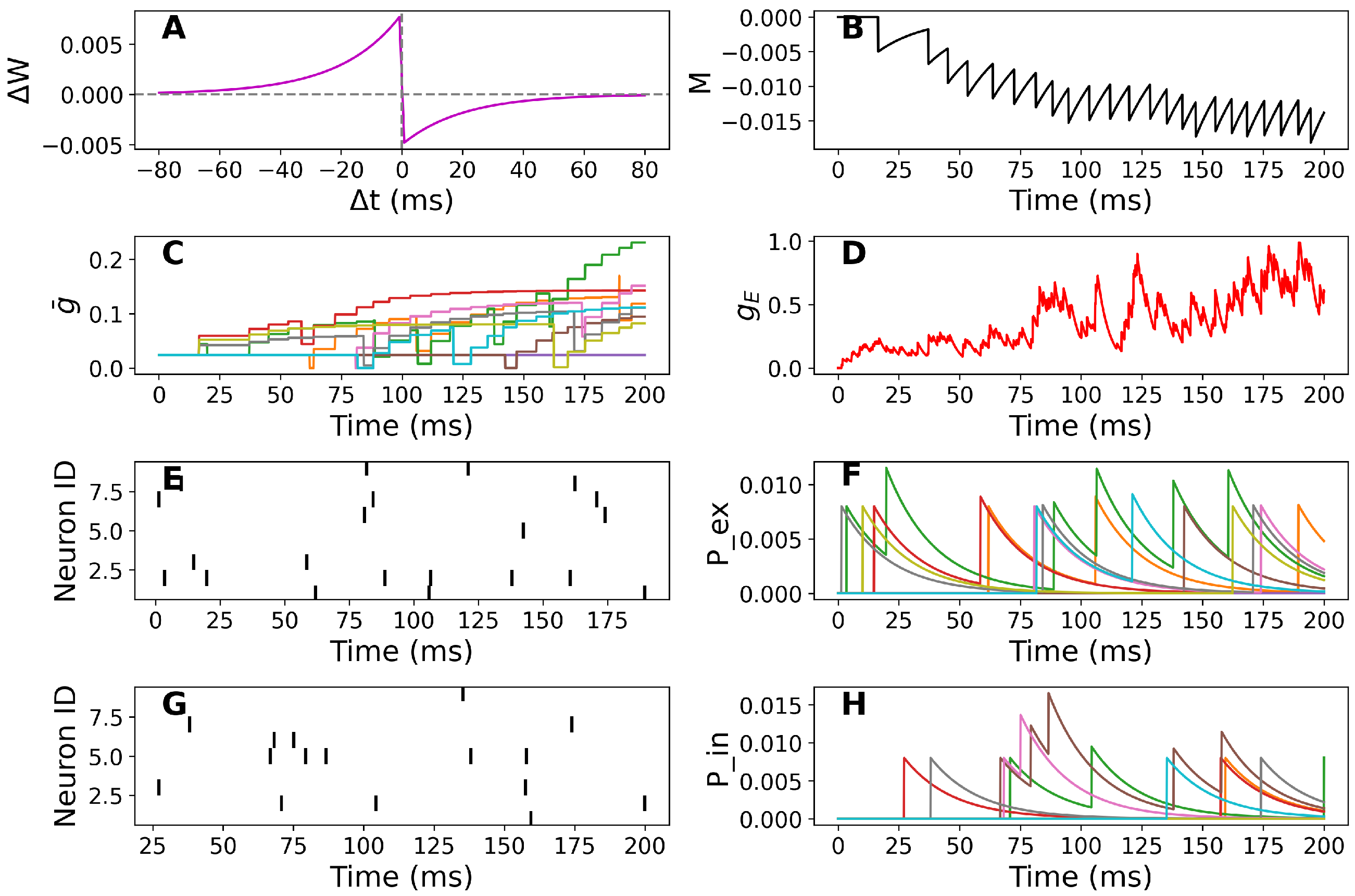 Biomedicines 13 01718 g001