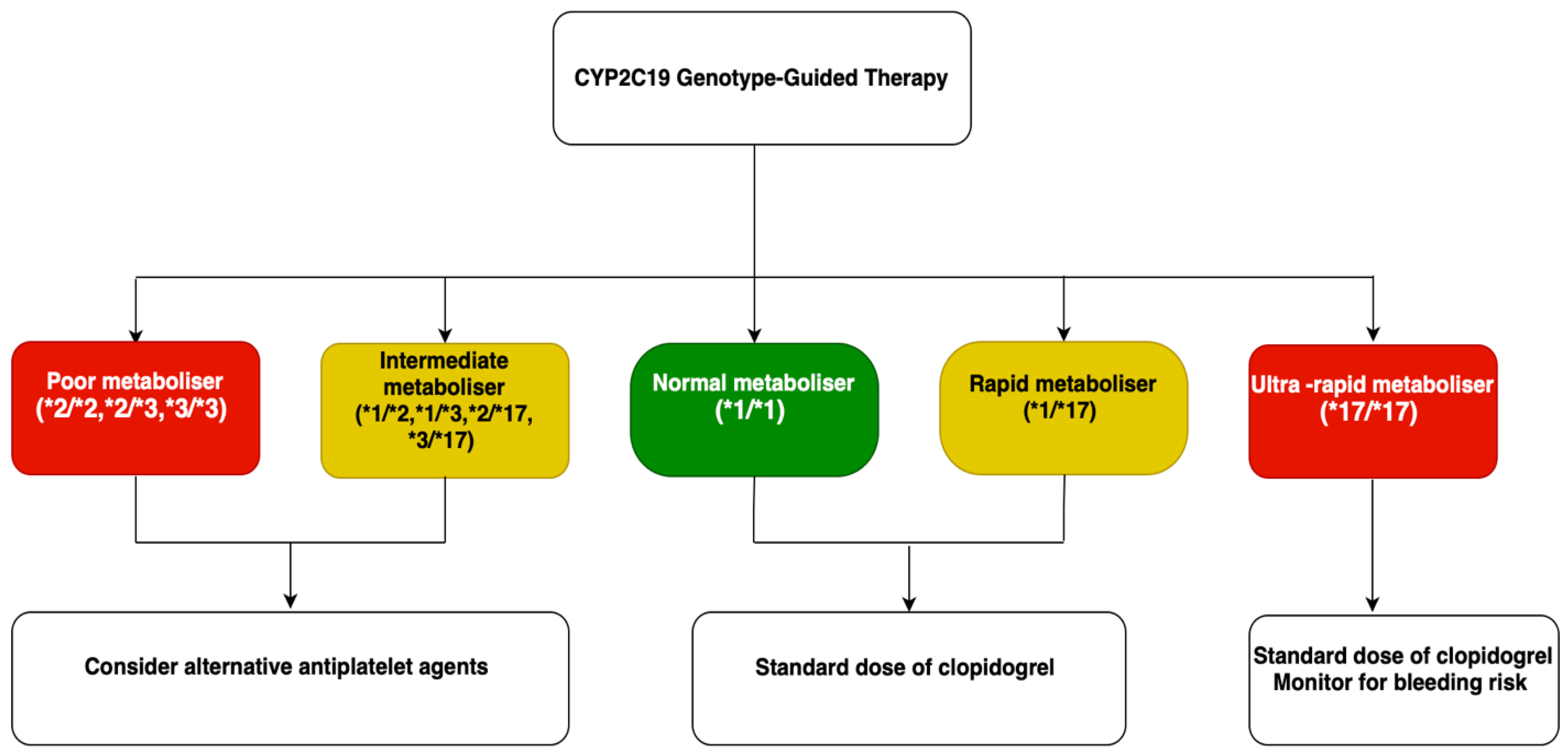 Biomedicines 13 01723 g003
