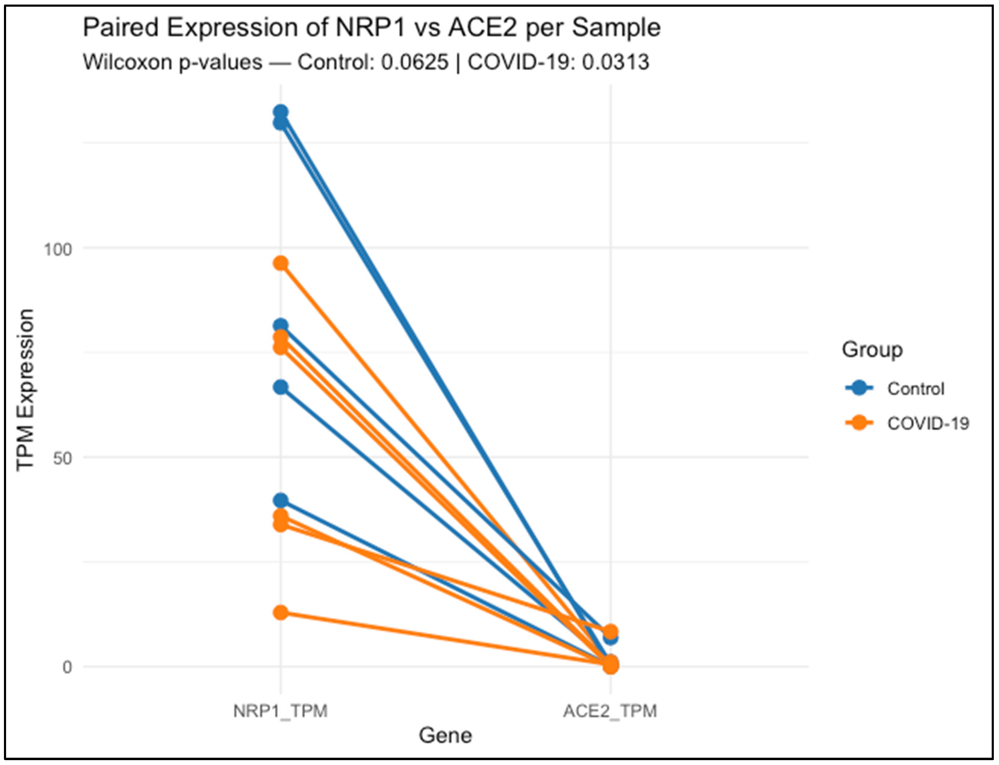 Biomedicines 13 01730 g001