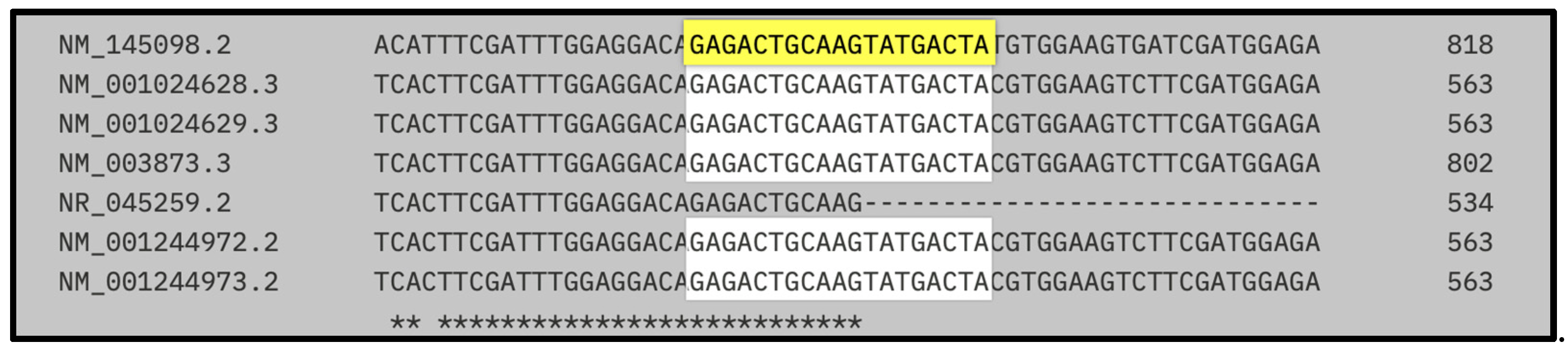 Biomedicines 13 01730 g002