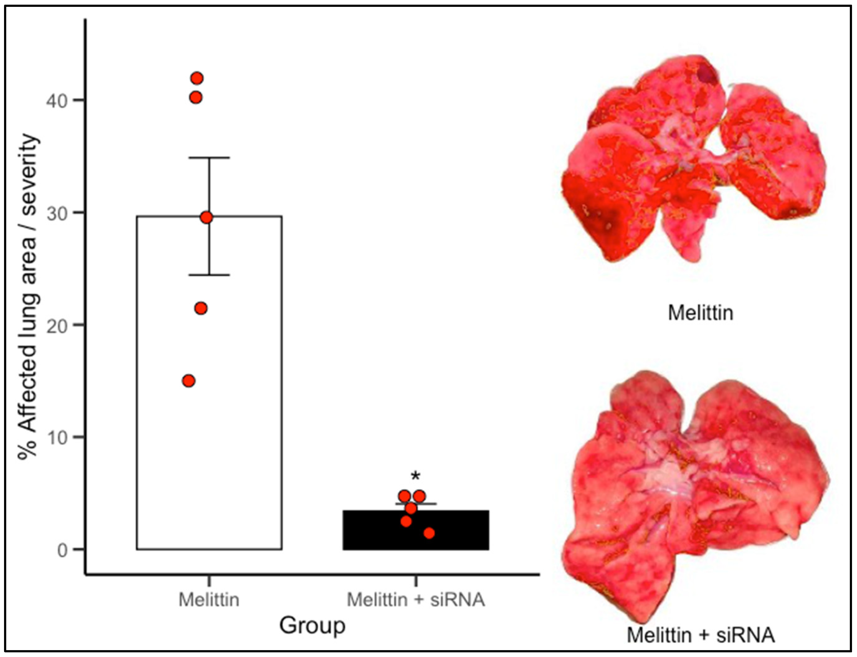 Biomedicines 13 01730 g004