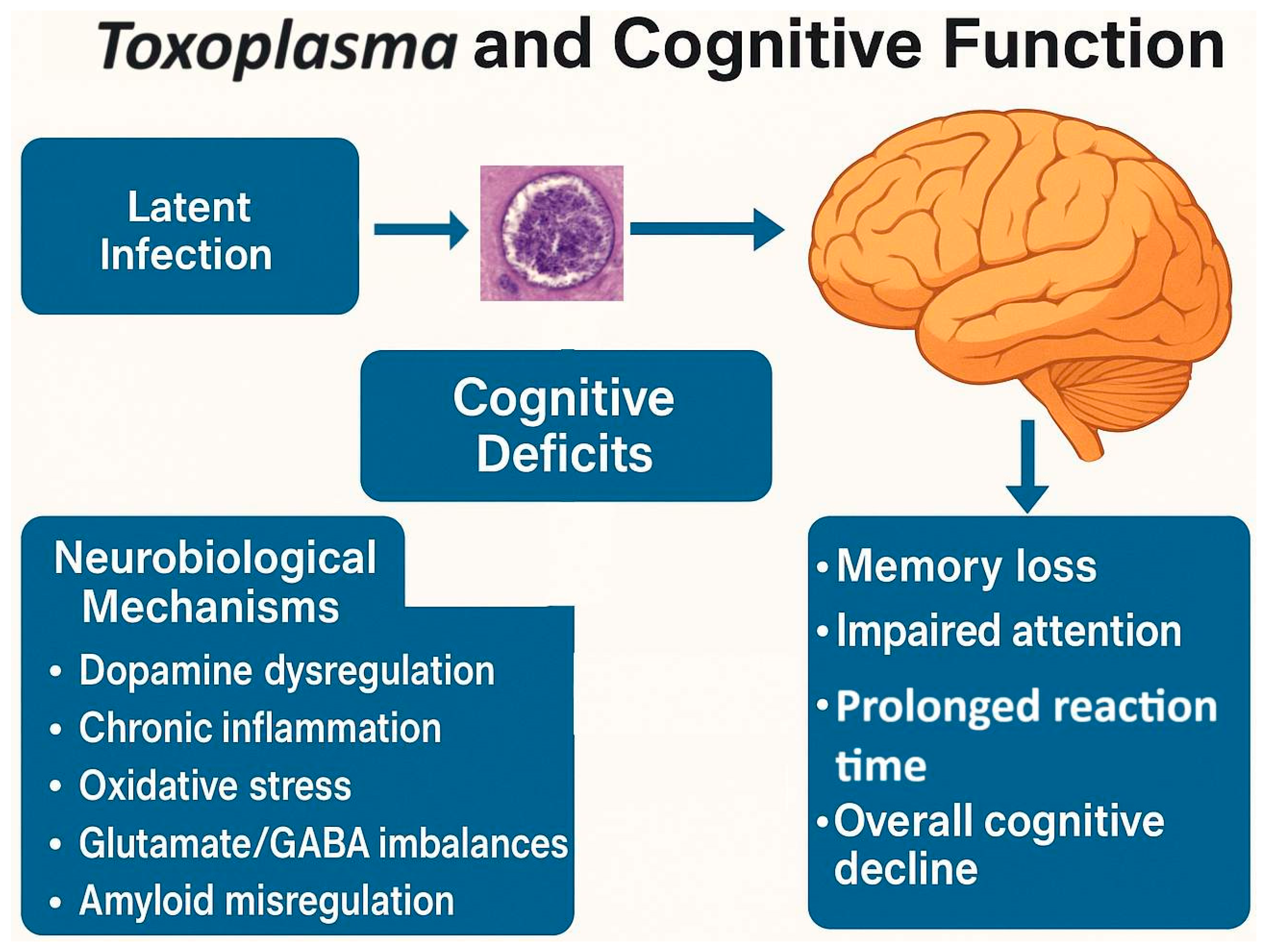 Biomedicines 13 01731 g005