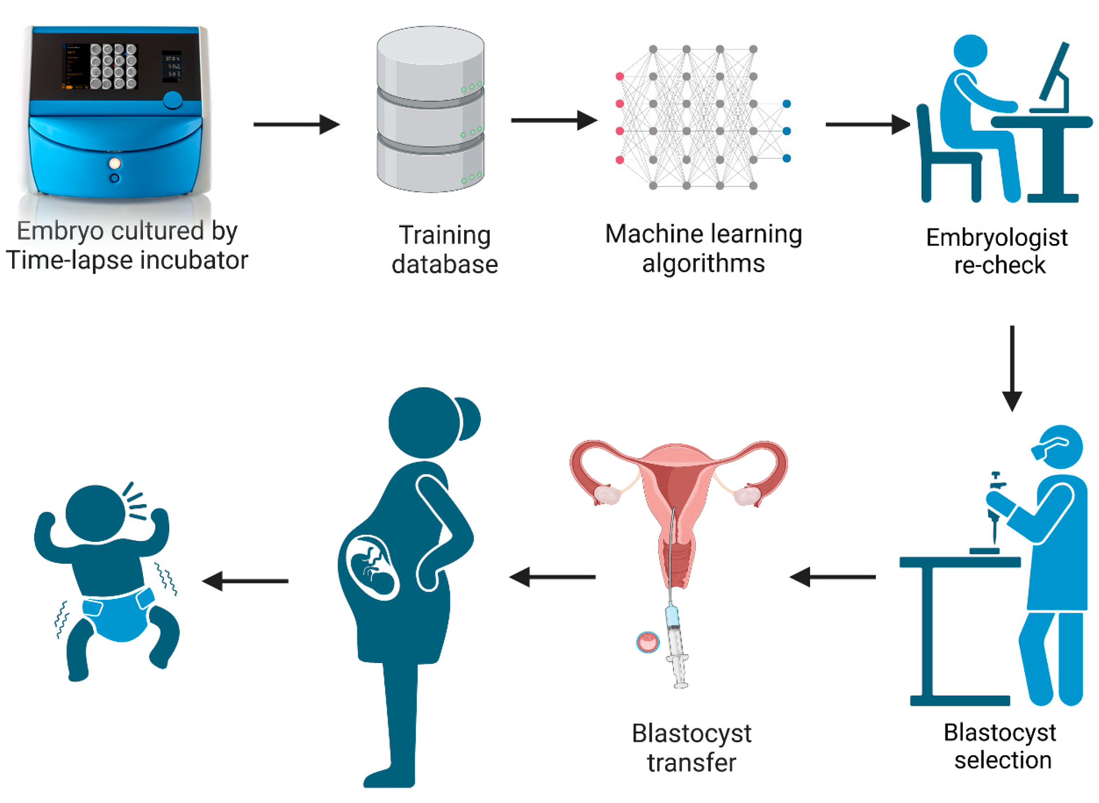 Biomedicines 13 01734 g001 Biomedicines 13 01734 g001