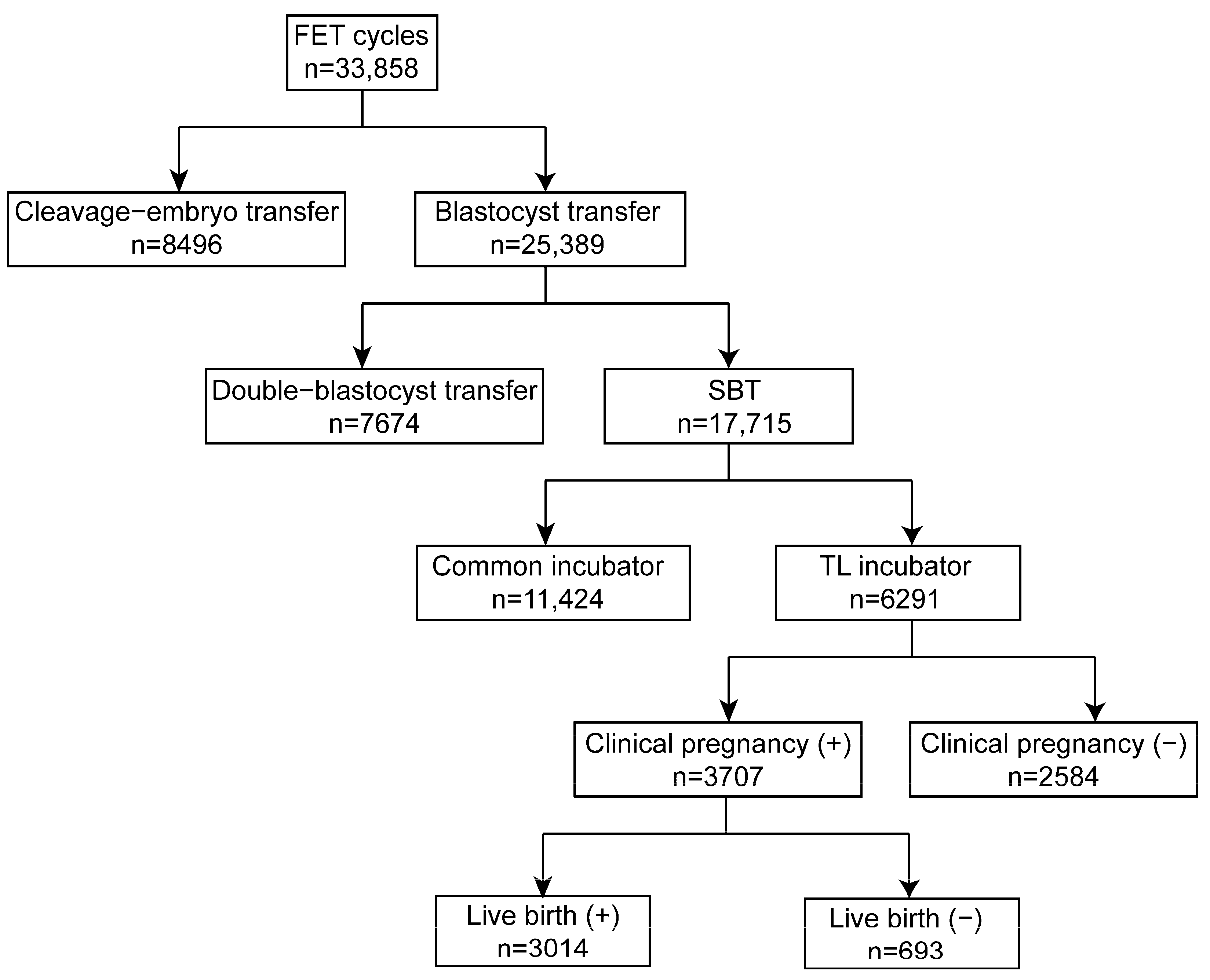 Biomedicines 13 01734 g002 Biomedicines 13 01734 g002
