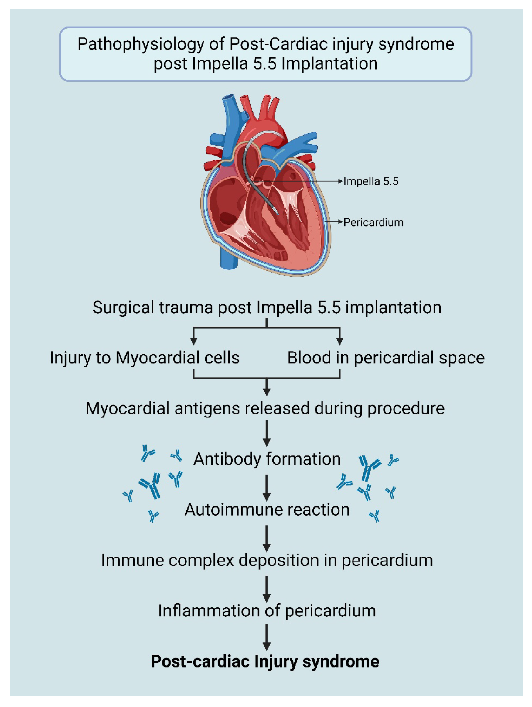 Biomedicines 13 01737 g001
