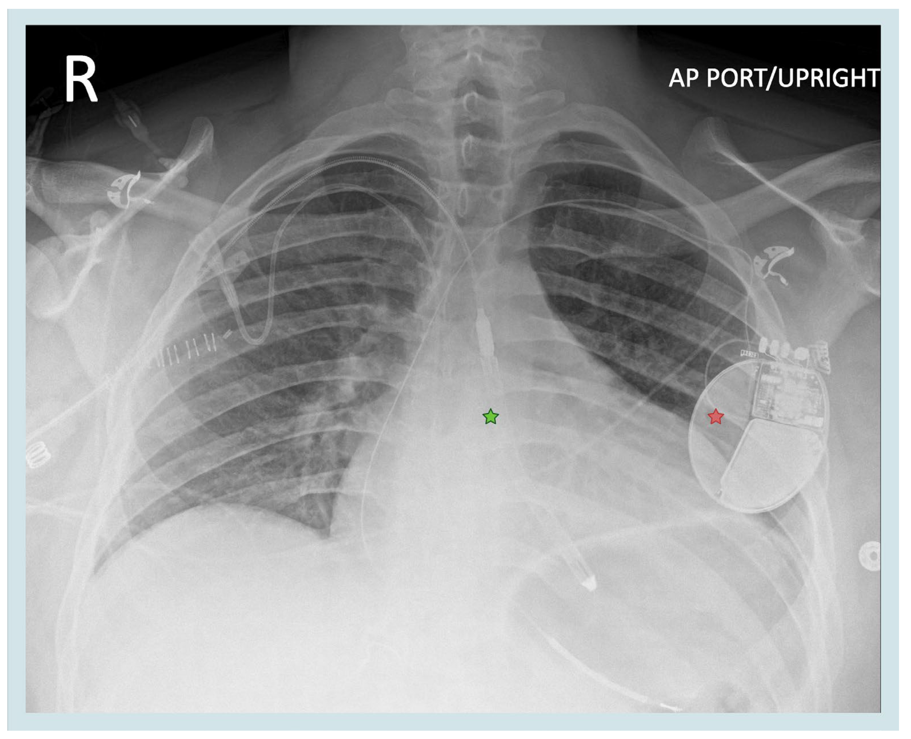 Biomedicines 13 01737 g003