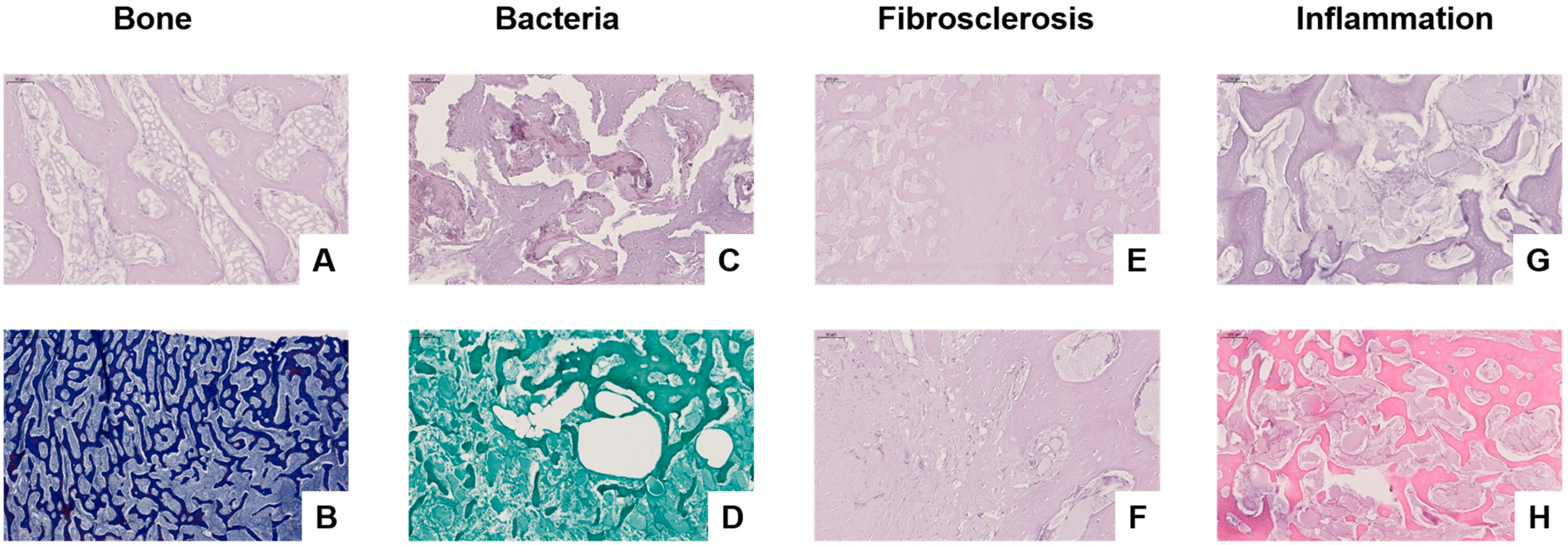 Biomedicines 13 01742 g003