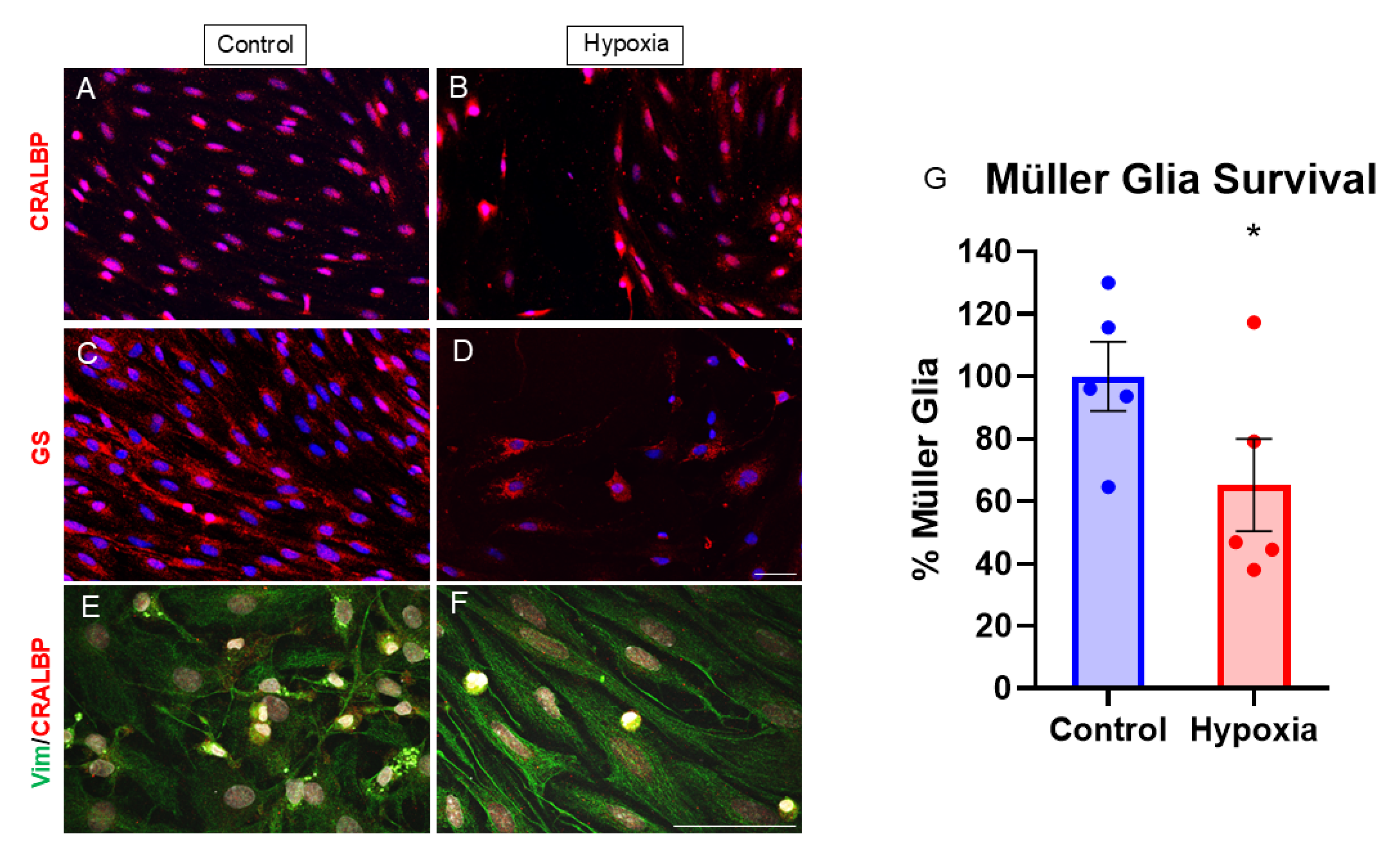 Biomedicines 13 01743 g002
