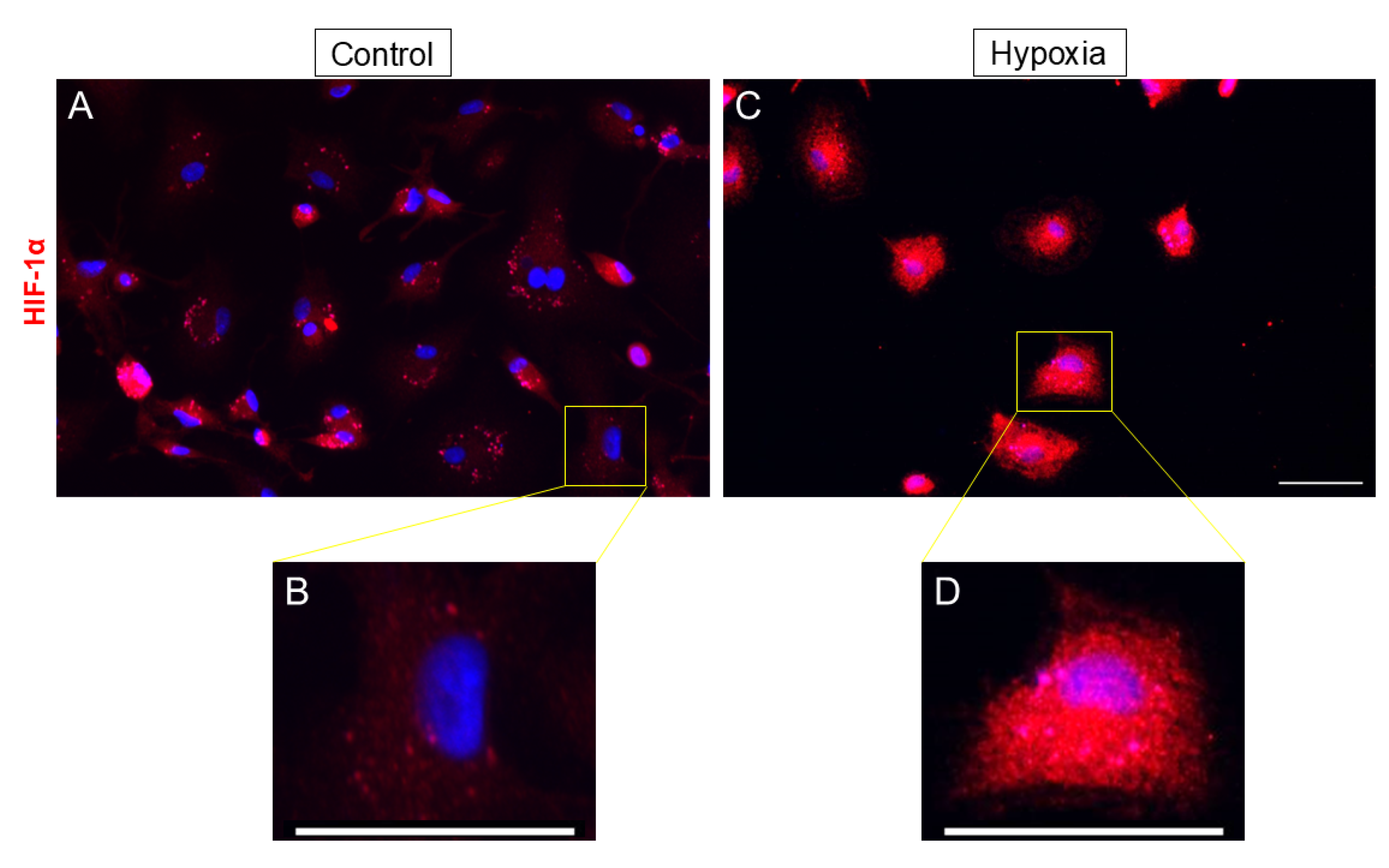 Biomedicines 13 01743 g003