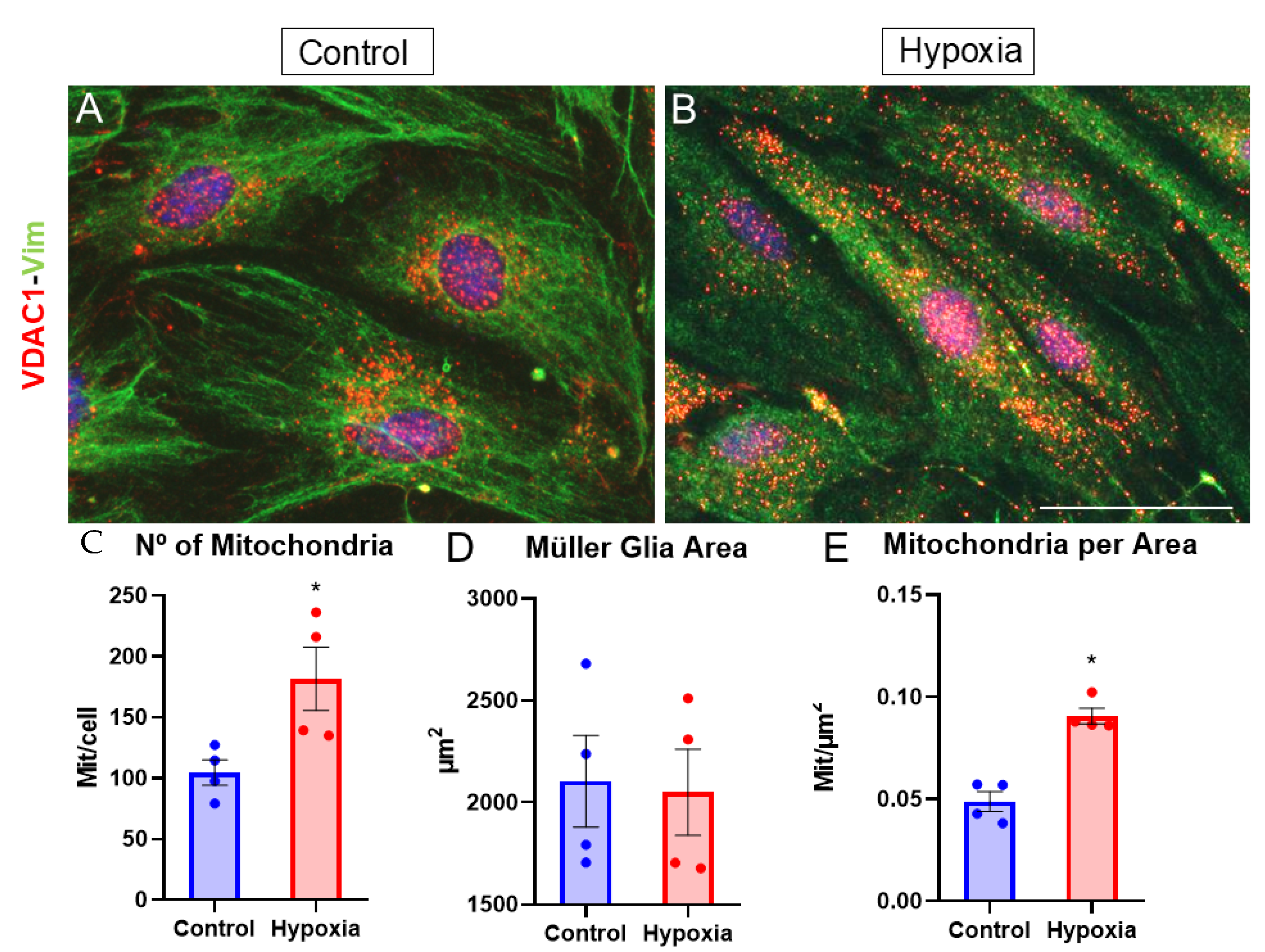 Biomedicines 13 01743 g007