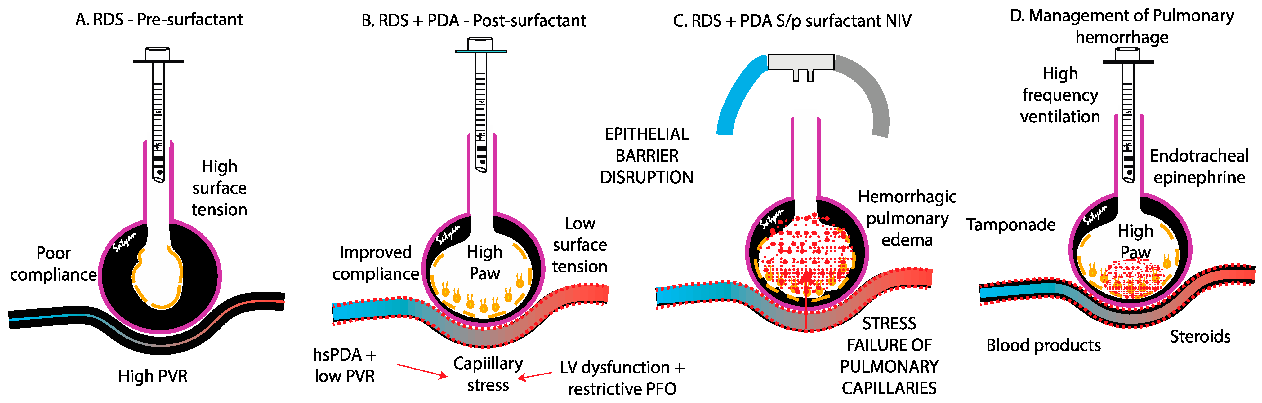Biomedicines 13 01744 g003