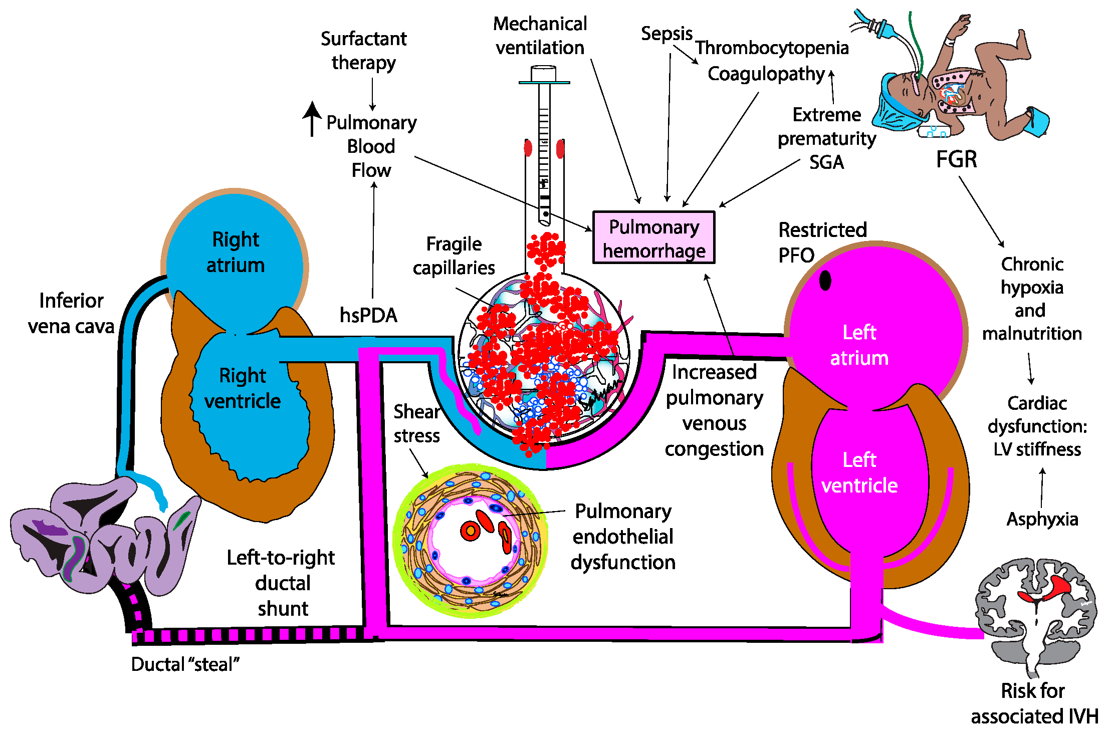 Biomedicines 13 01744 g004