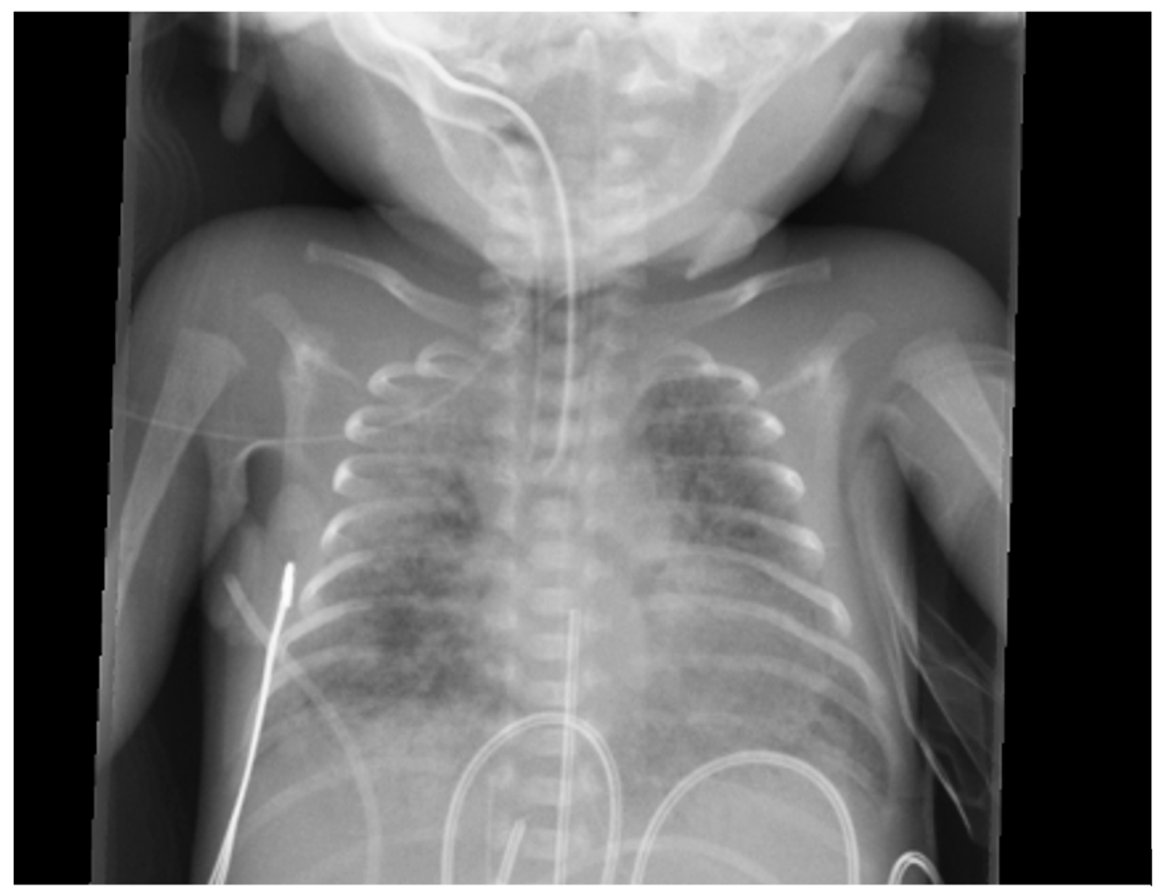 Biomedicines 13 01744 g005