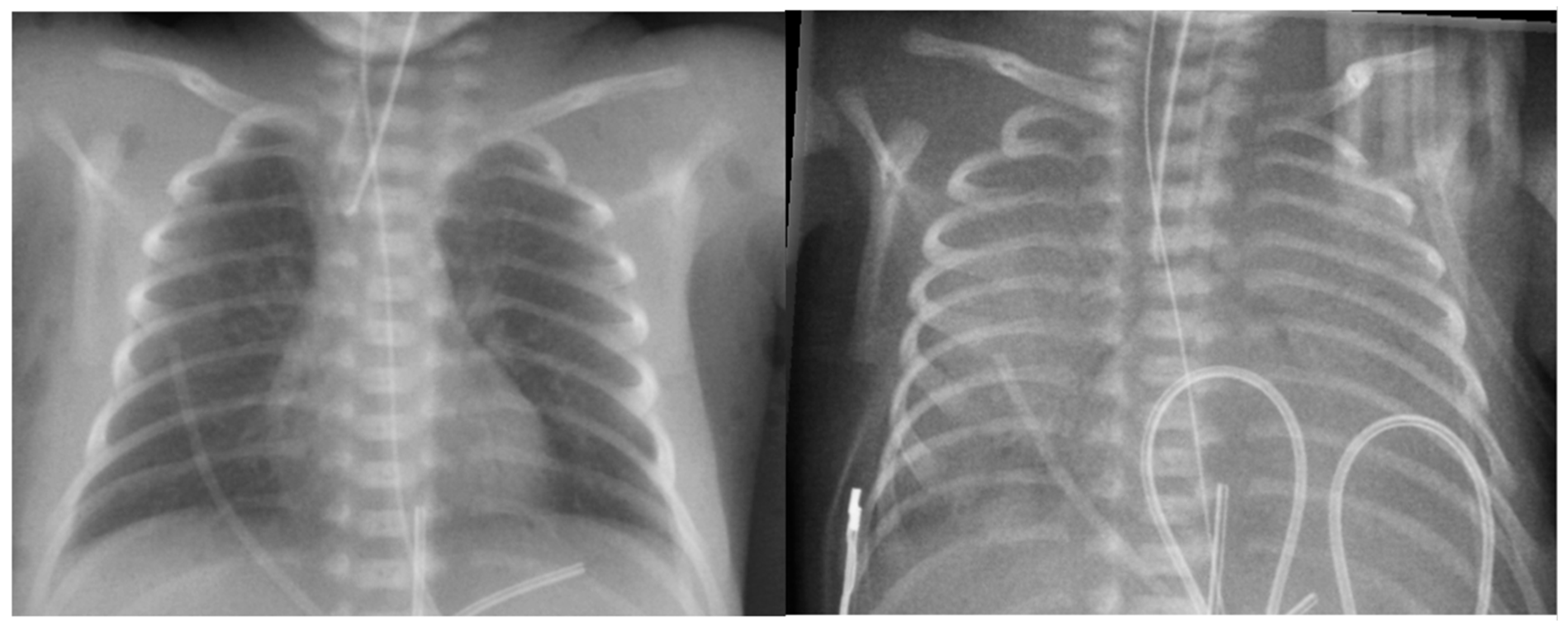 Biomedicines 13 01744 g006