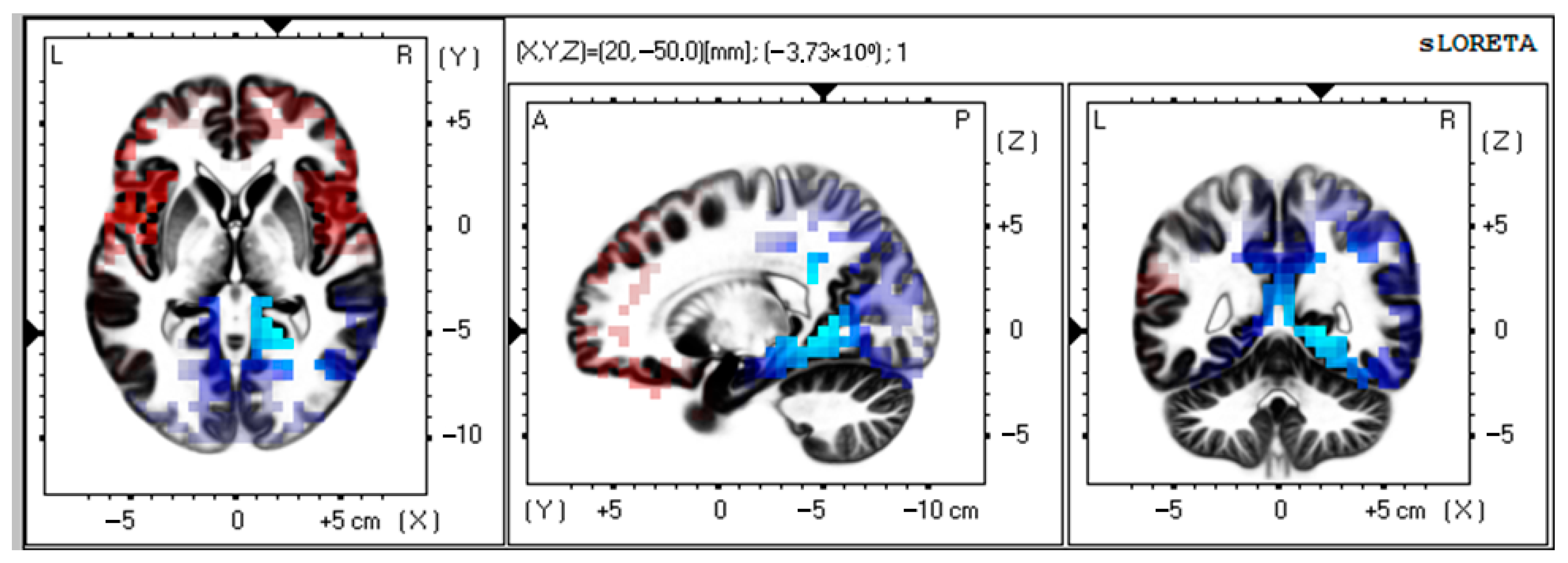 Biomedicines 13 01755 g002
