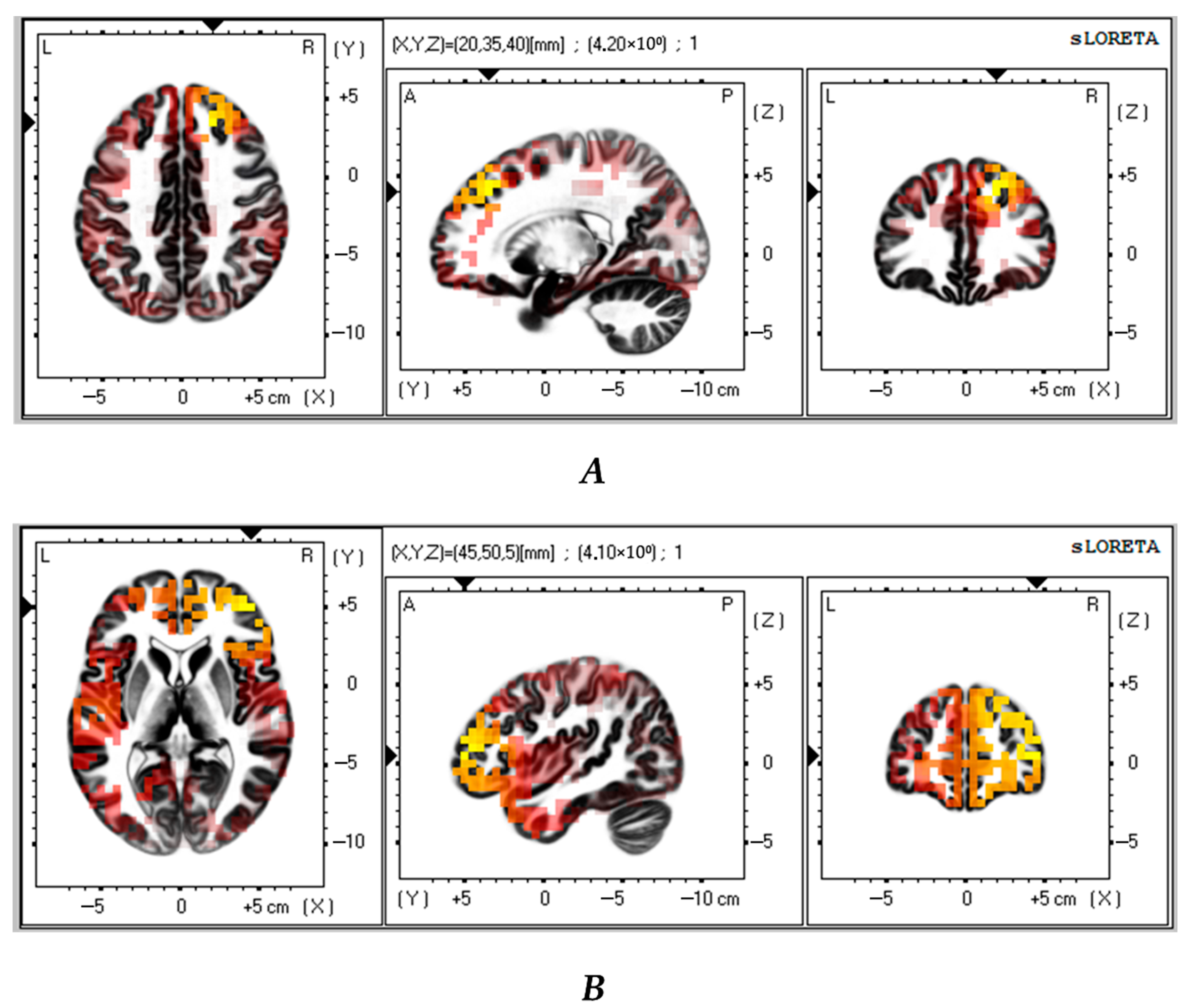 Biomedicines 13 01755 g004