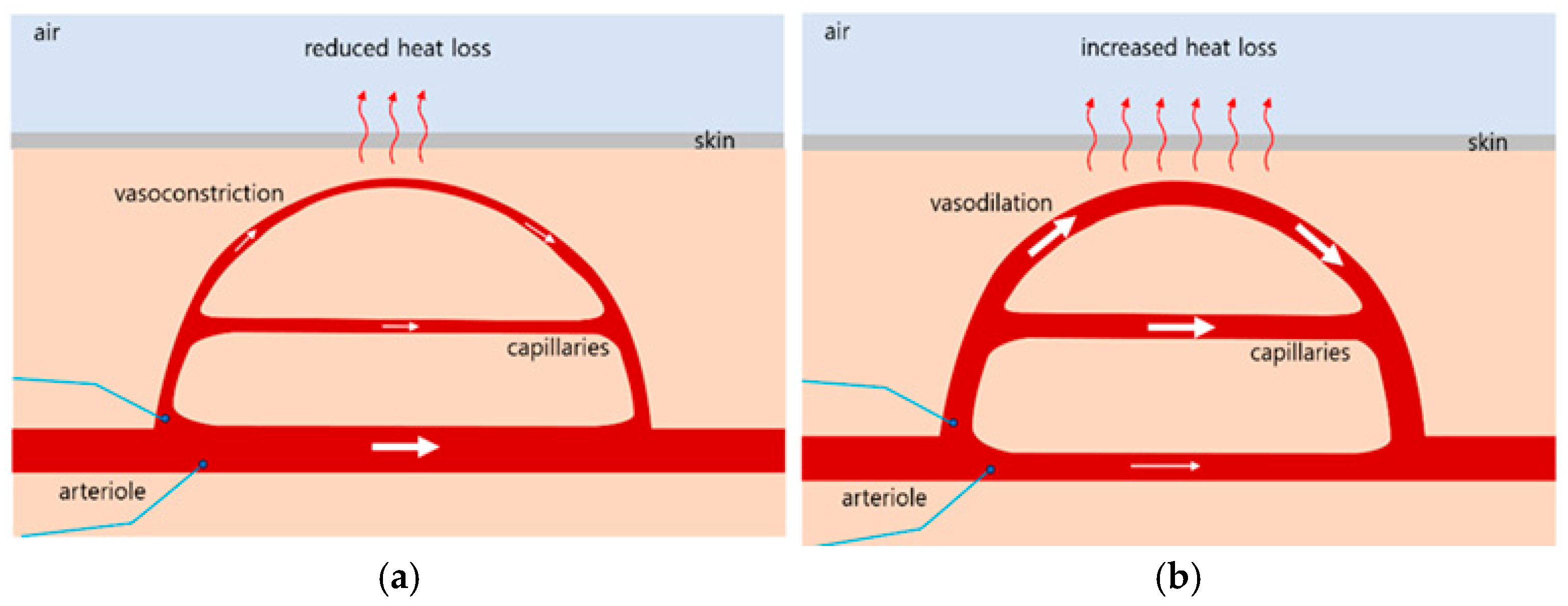 Biomedicines 13 01759 g001