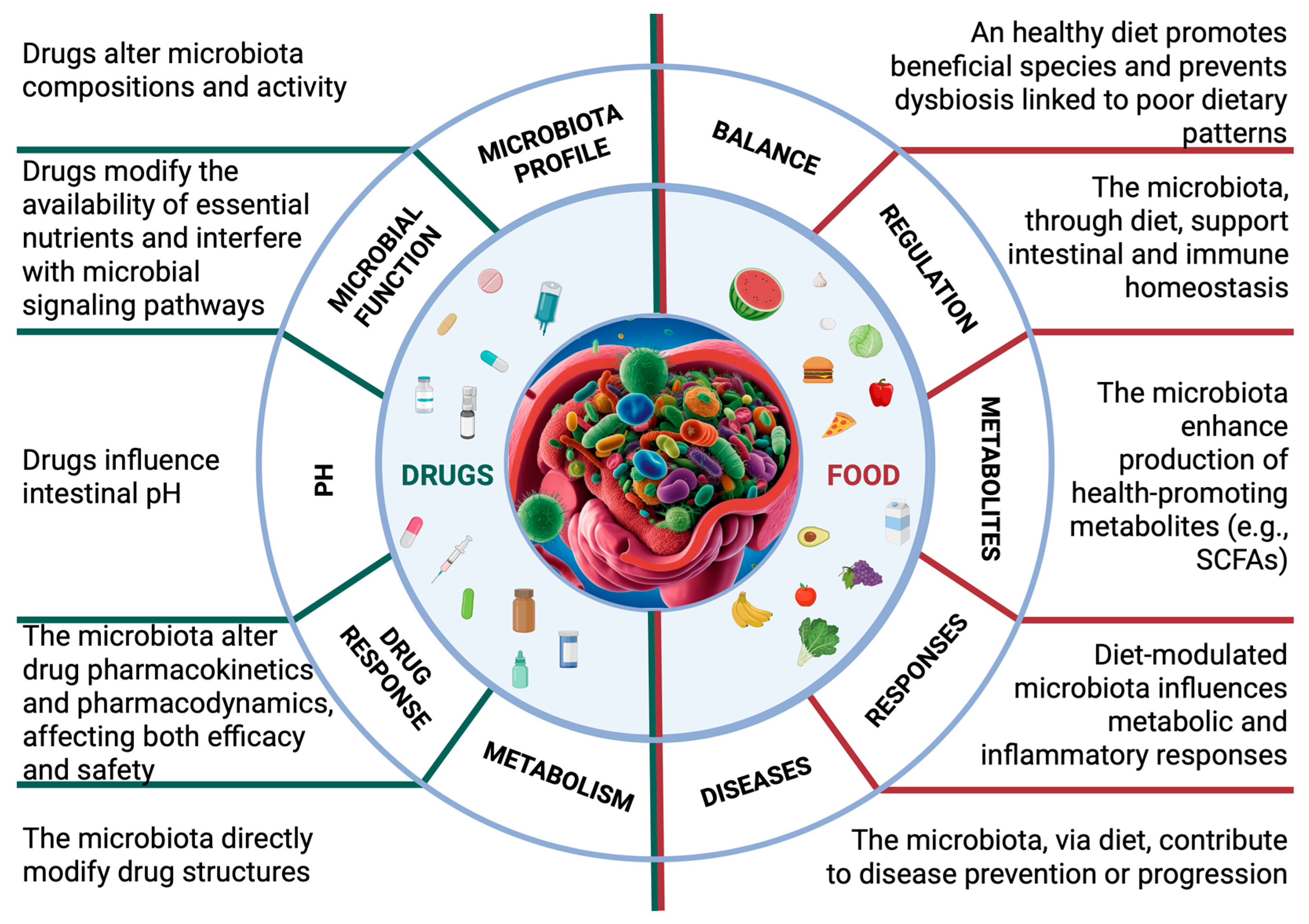 Biomedicines 13 01769 g001