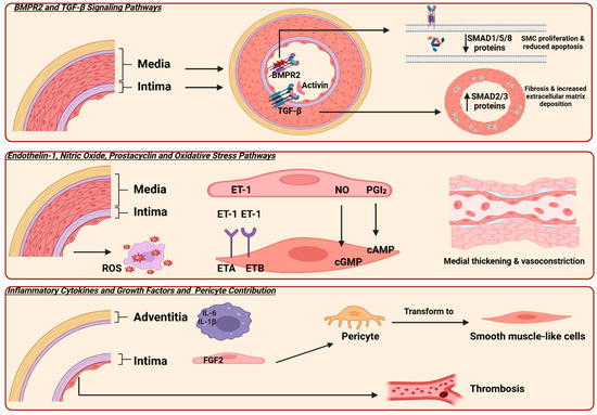 まろん Frontiers | The effects of microbial fertilizer based