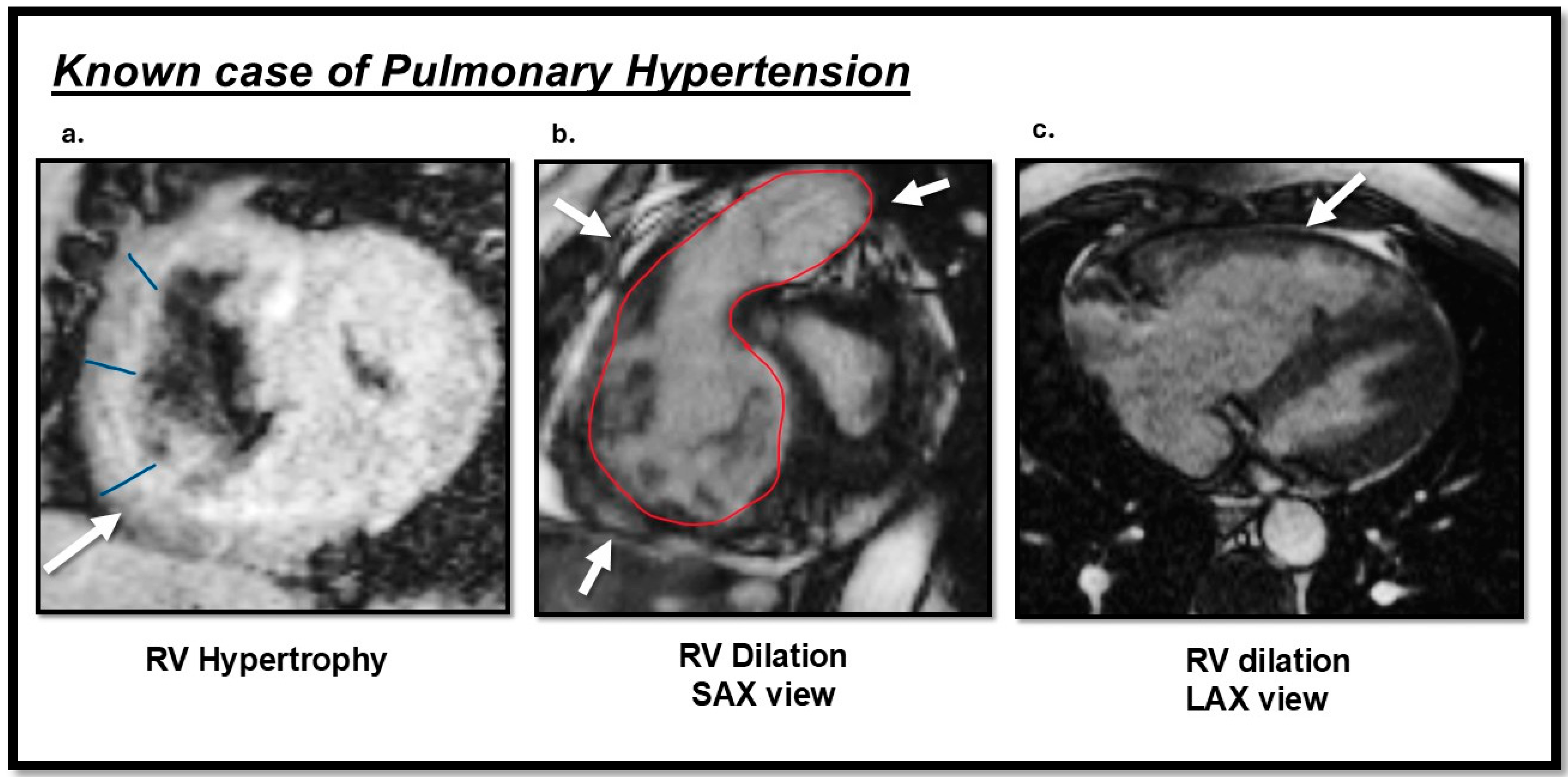 Biomedicines 13 01773 g003