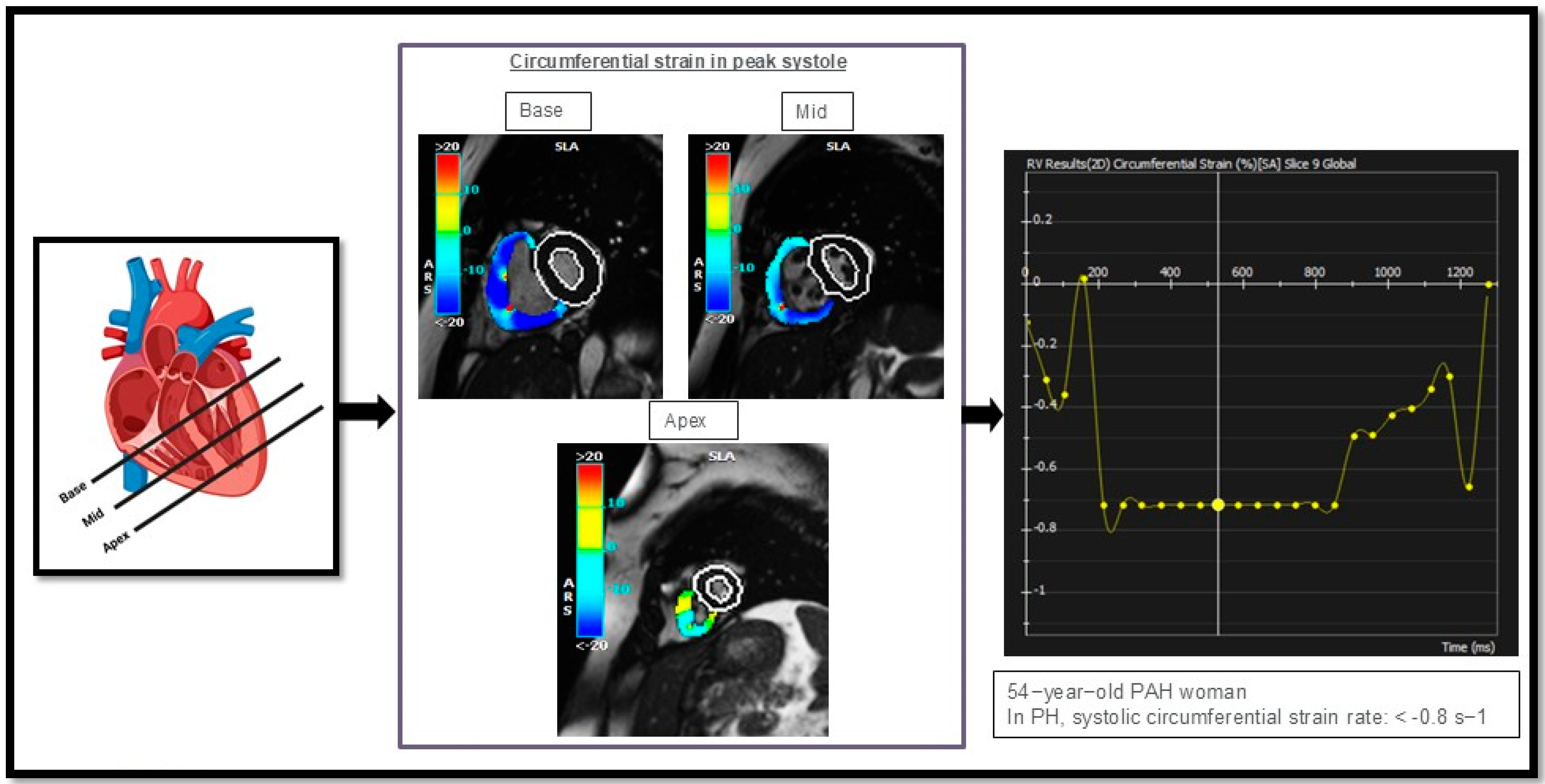 Biomedicines 13 01773 g005