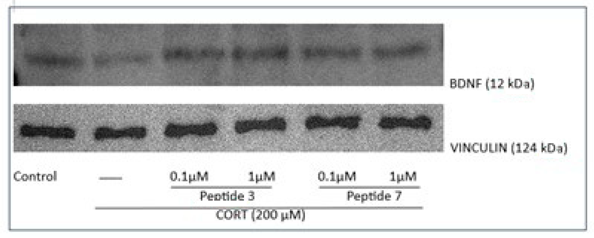 Biomedicines 13 01774 g014